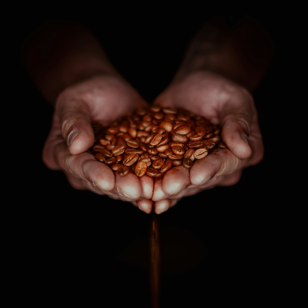 a person holding a handful of coffee beans in their hands