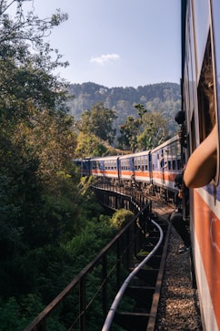 a train traveling through a lush green forest