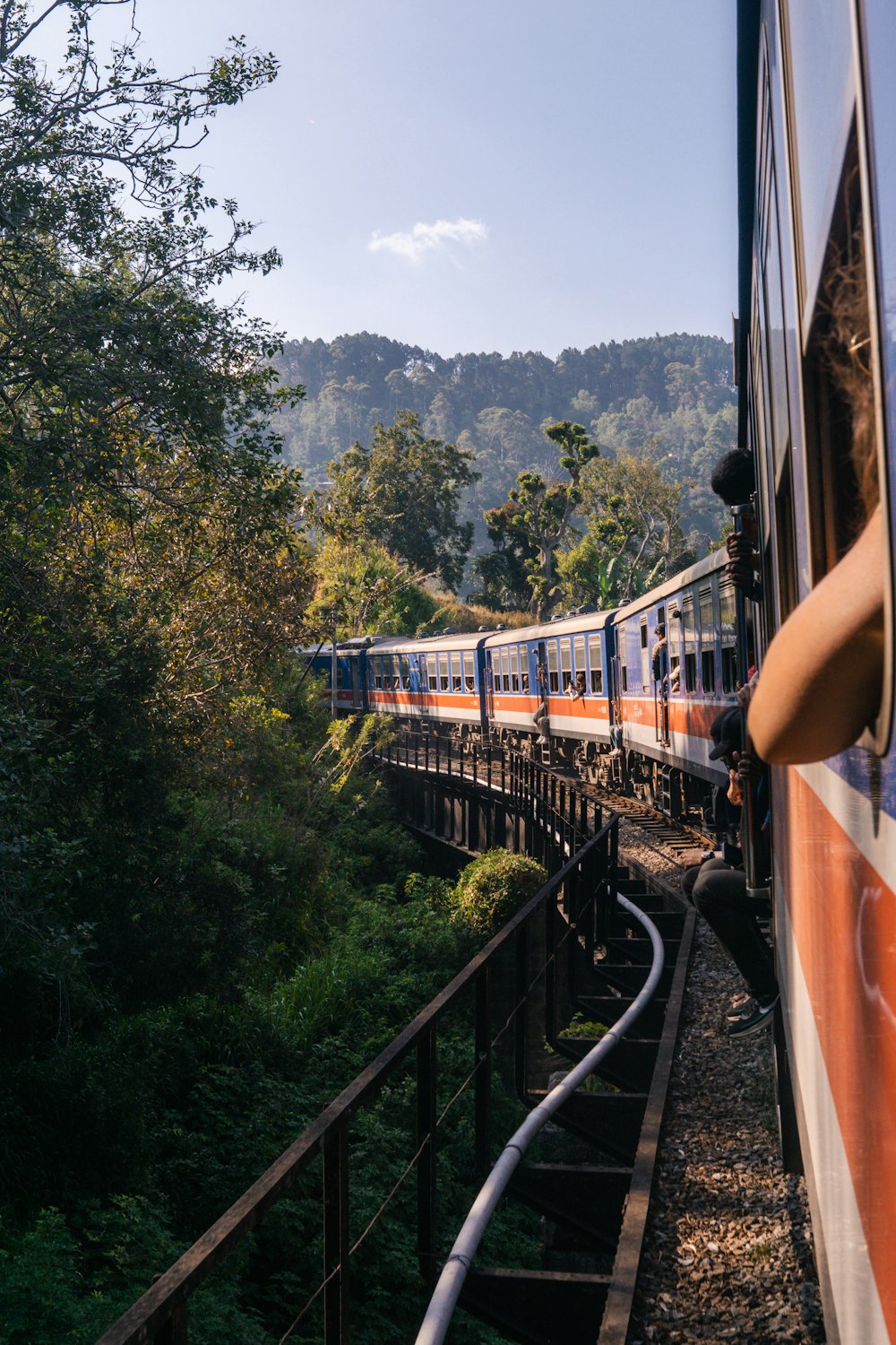 a train traveling through a lush green forest