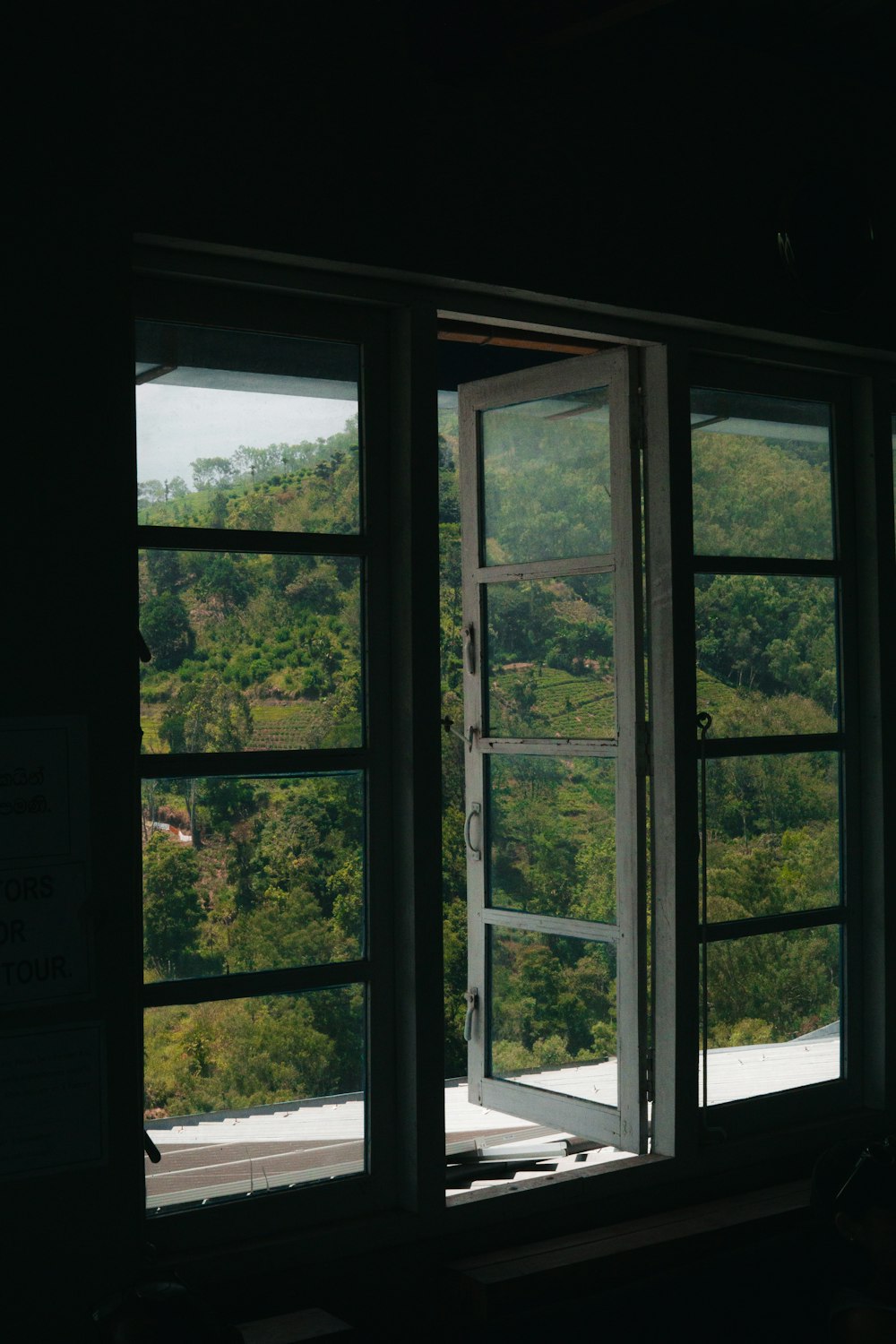 una ventana con vistas a una exuberante ladera verde