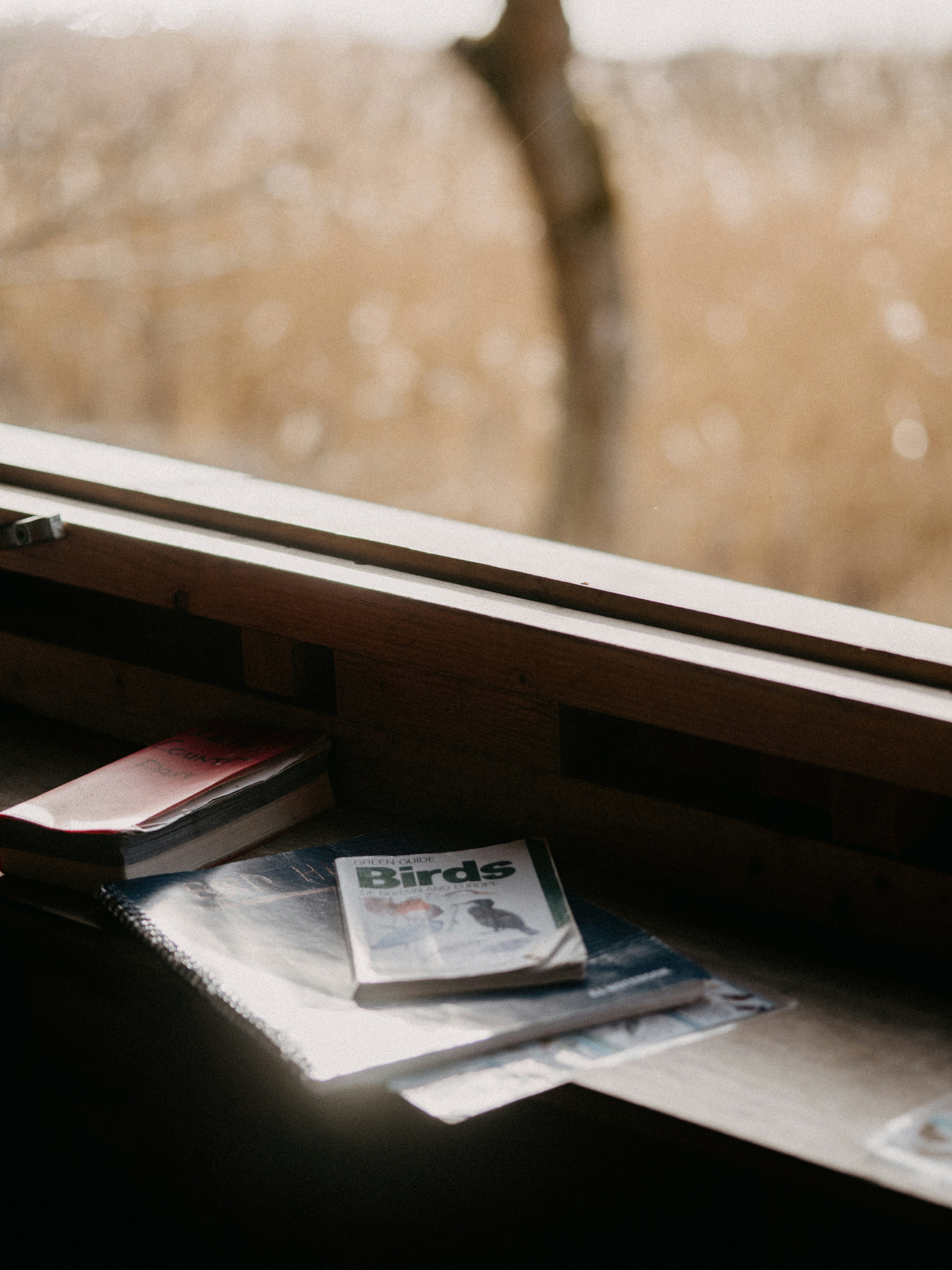 Photo by anniespratt