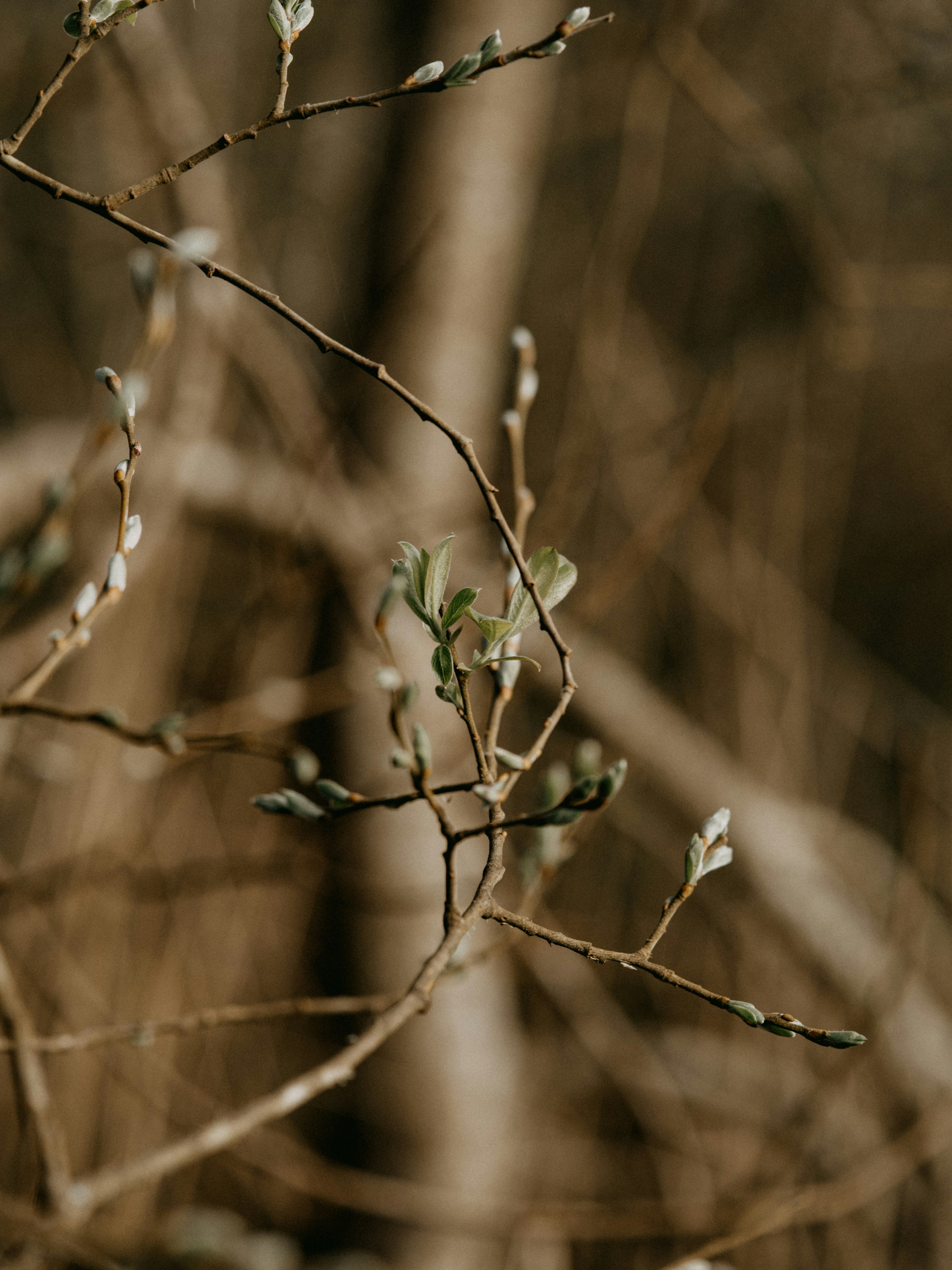 Photo by anniespratt