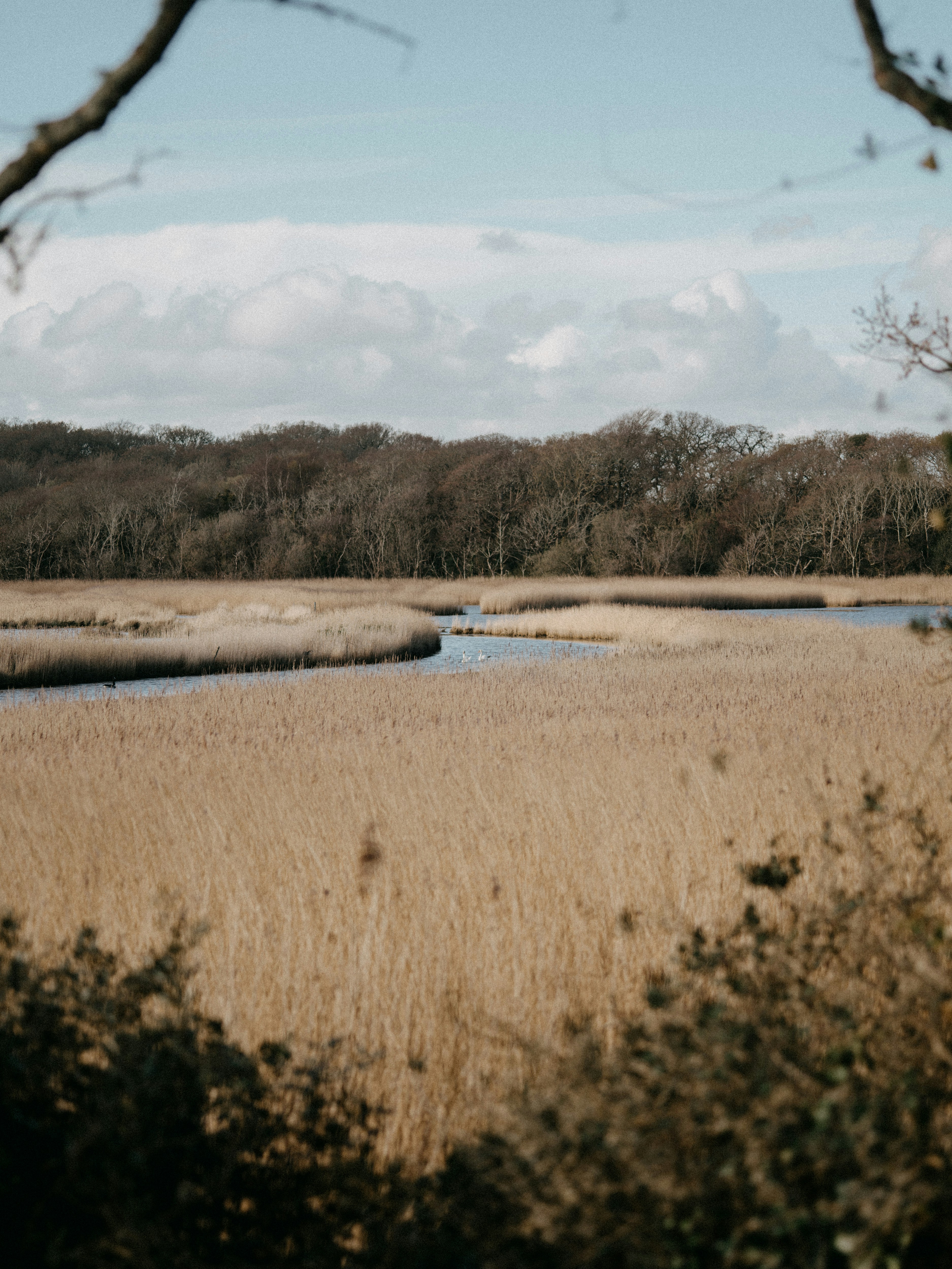 Saltwater Futures: On Black Speculative Fiction, Hoodoo, and Gullah Geechee Memory