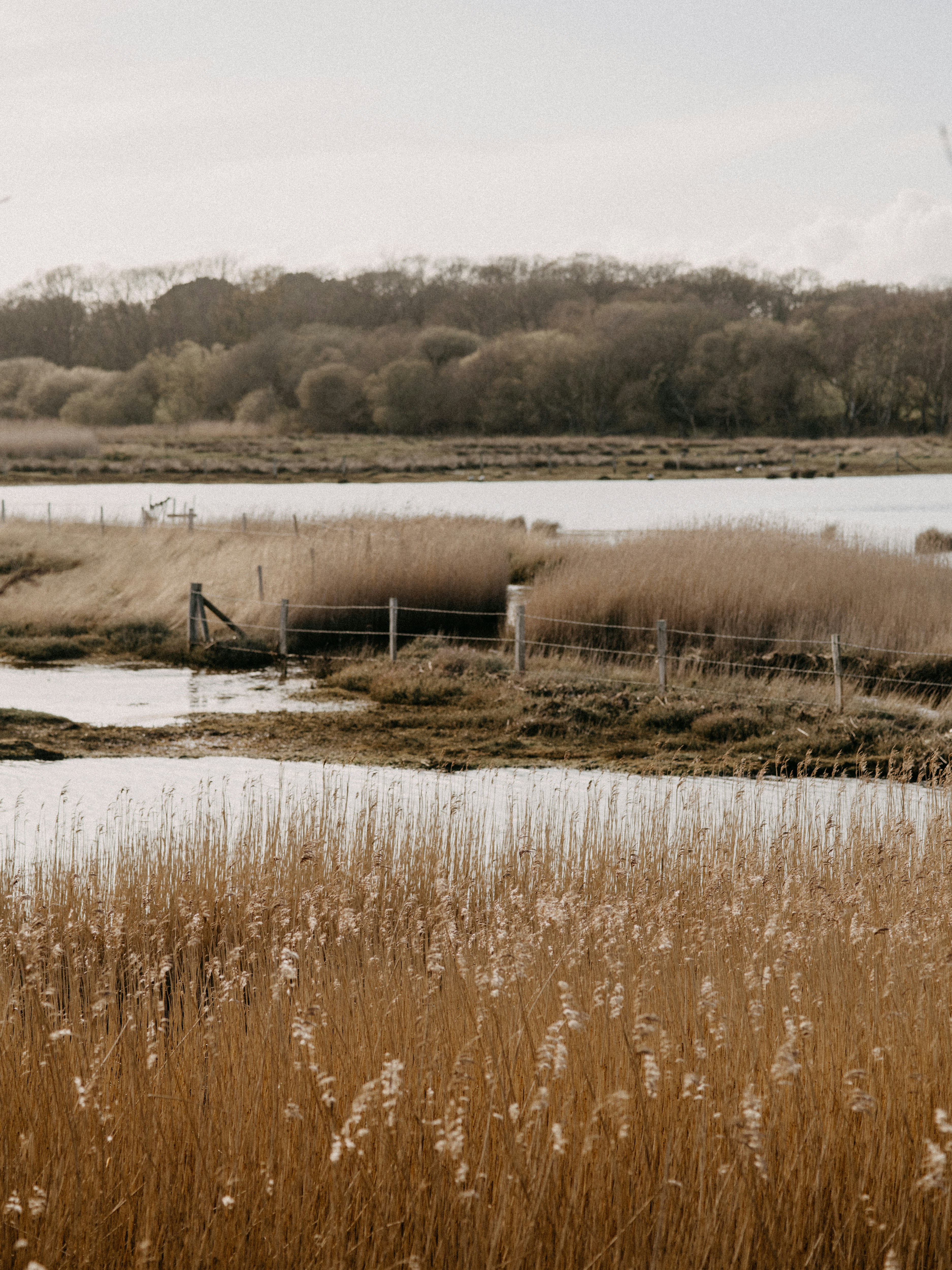 Photo by anniespratt