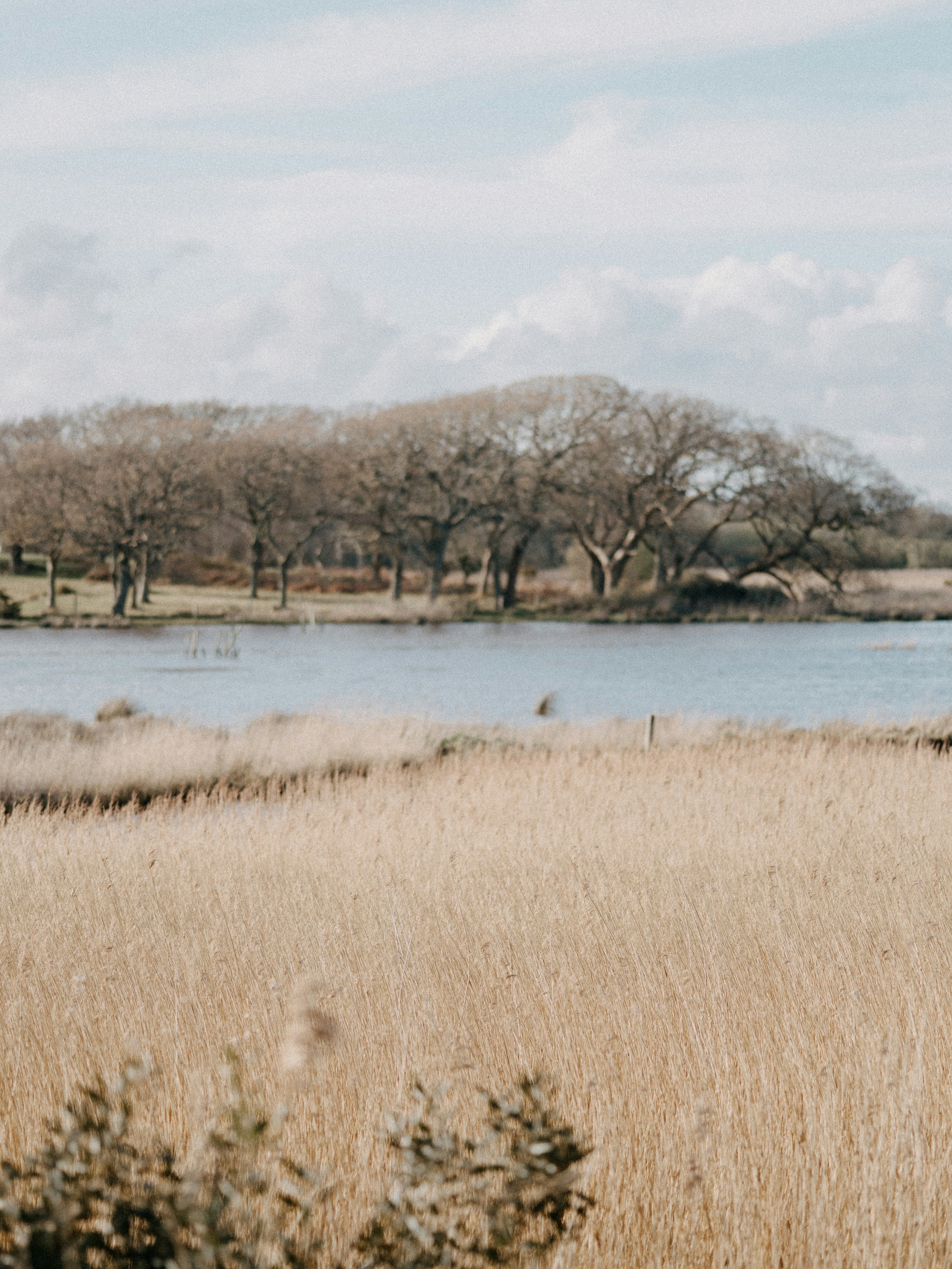 Photo by anniespratt