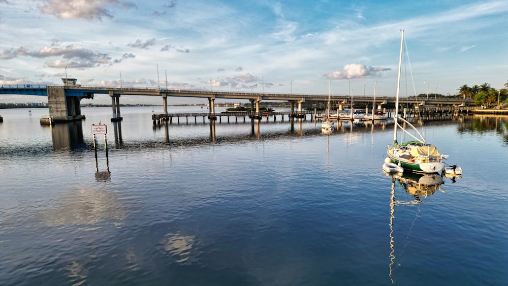 a body of water with a bridge in the background