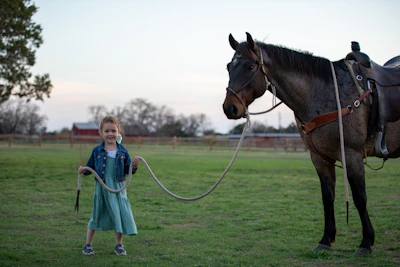 a little girl standing next to a brown horse