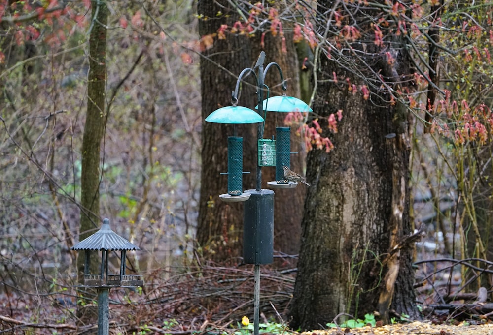 a bird feeder in the middle of a forest