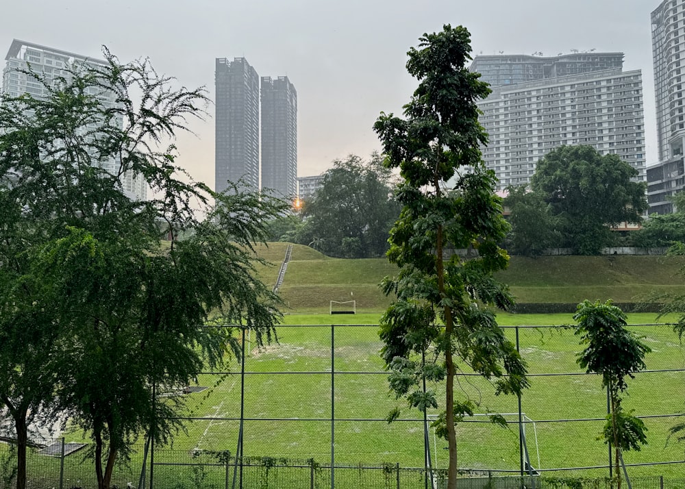 a grassy field with trees and buildings in the background