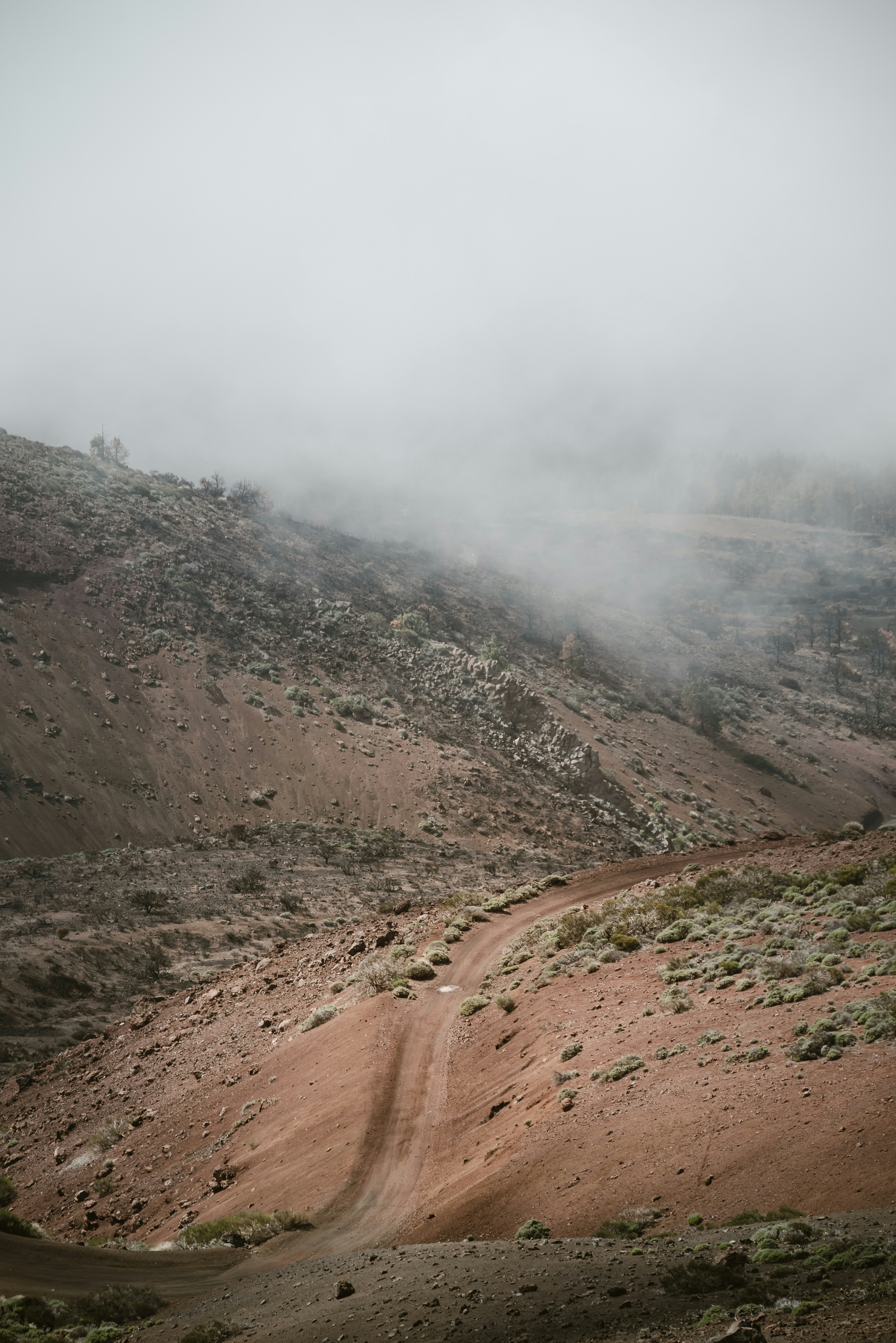 Photo by agataciosek