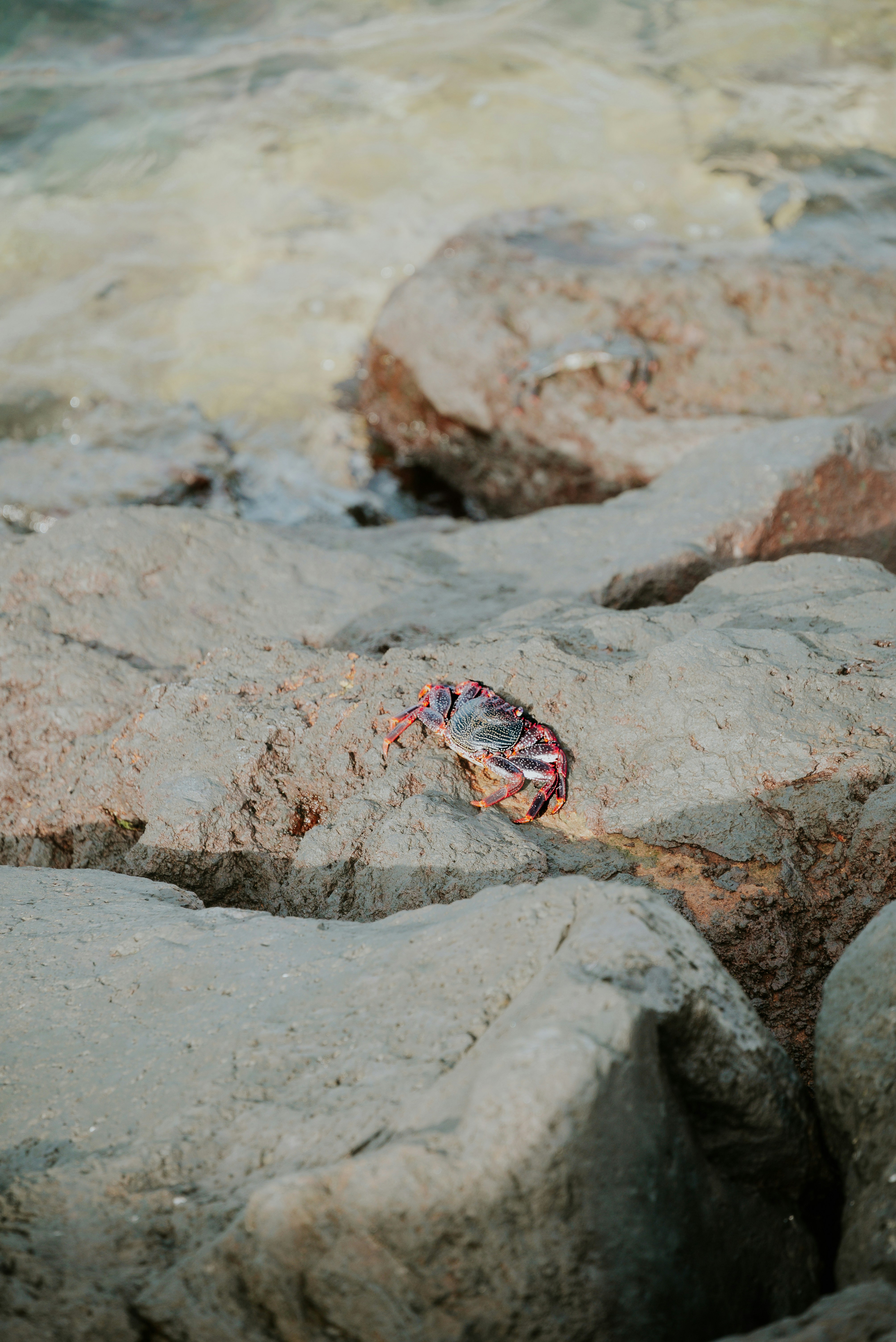 Photo by agataciosek