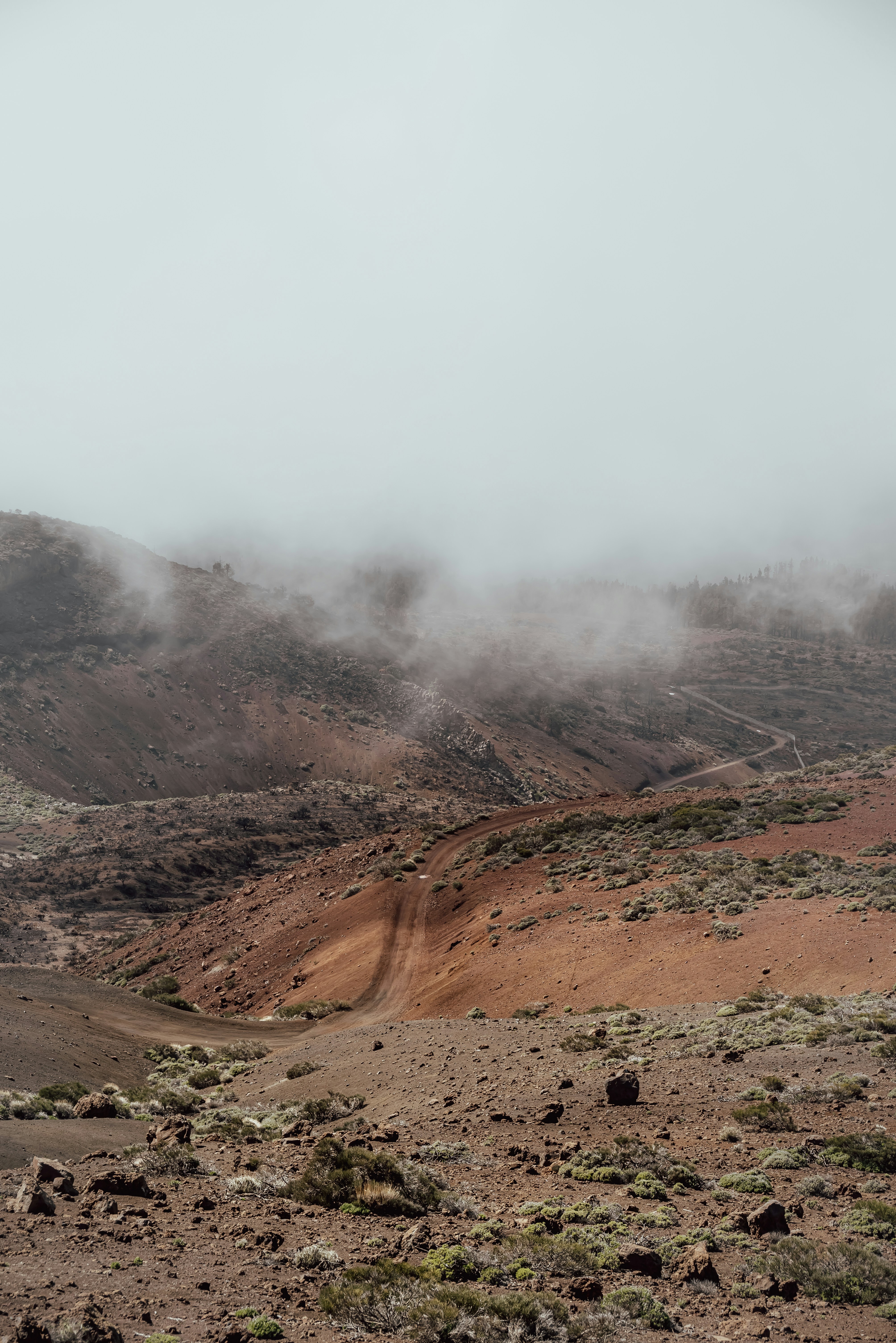 Photo by agataciosek