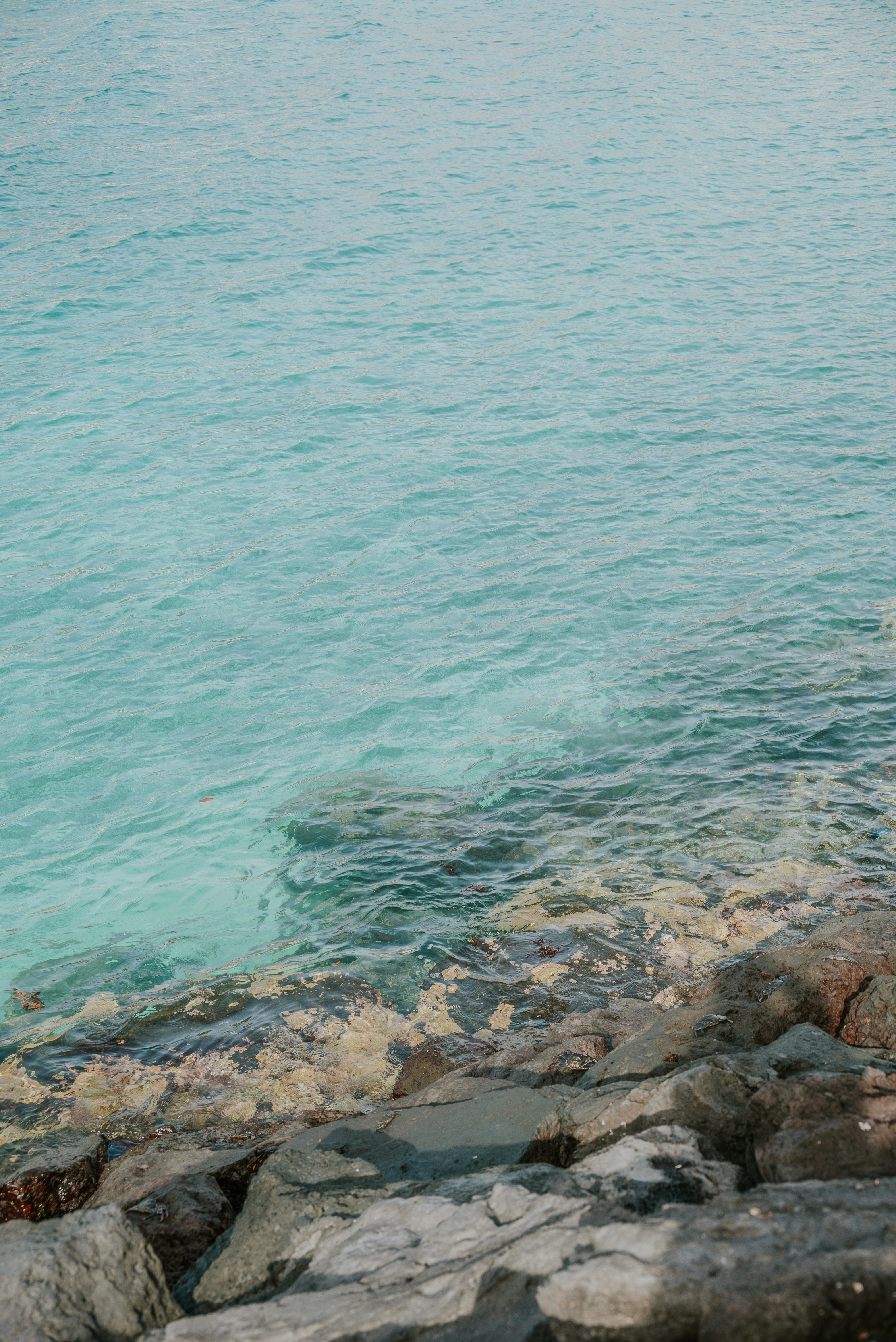 Photo by agataciosek