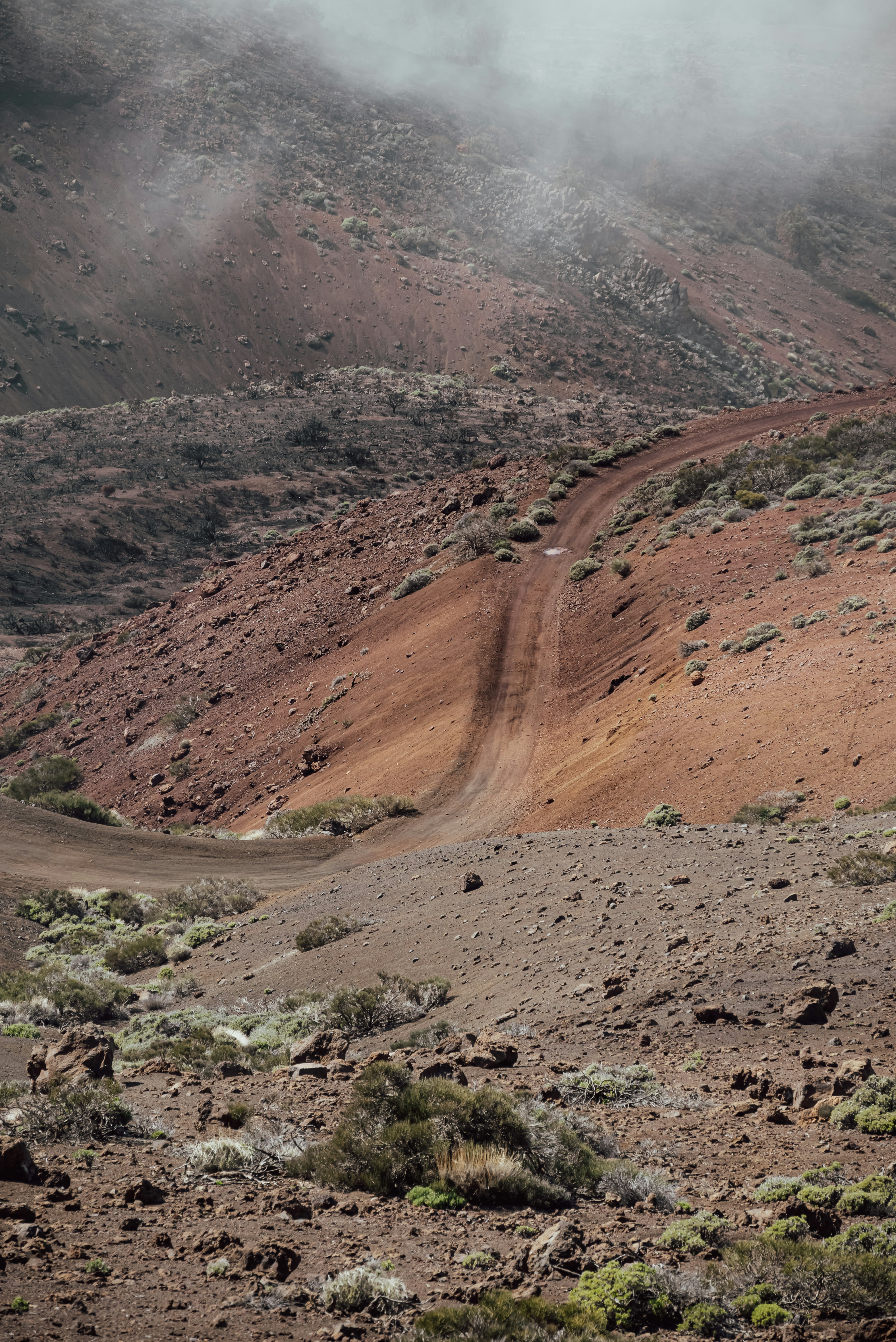 Photo by agataciosek