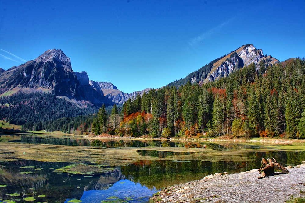 a lake surrounded by mountains and trees