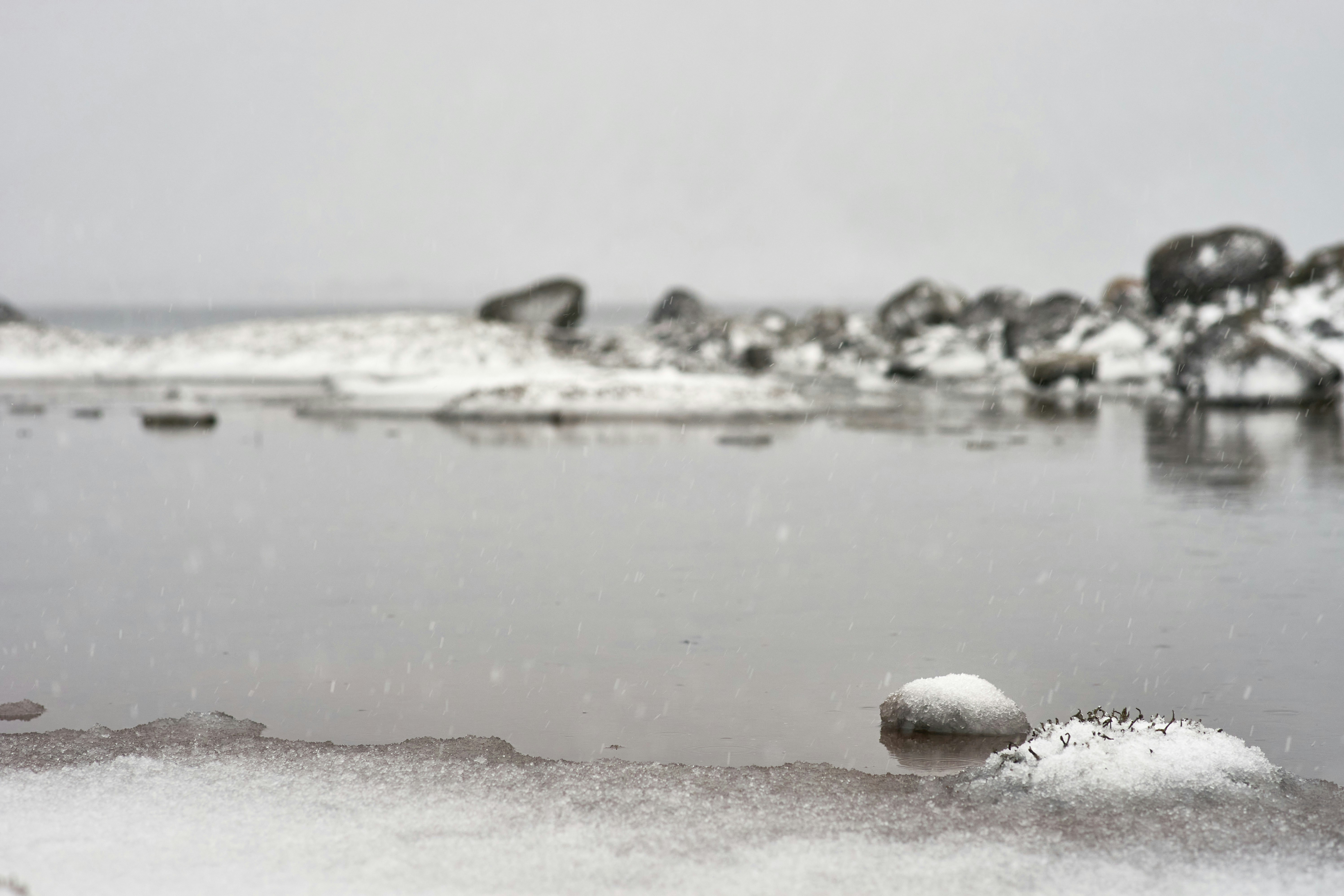 Photo by wolfgang_hasselmann