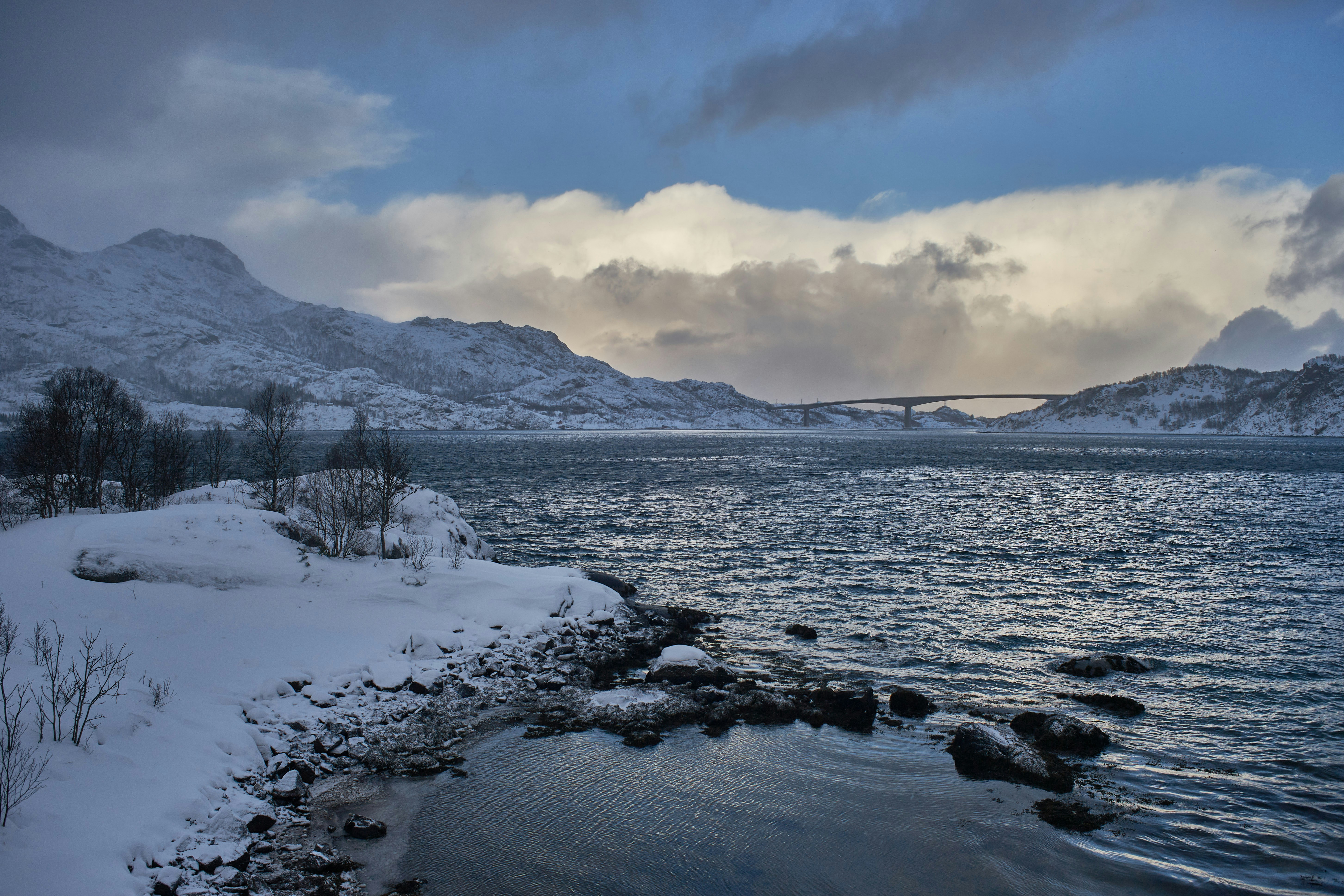 Photo by wolfgang_hasselmann