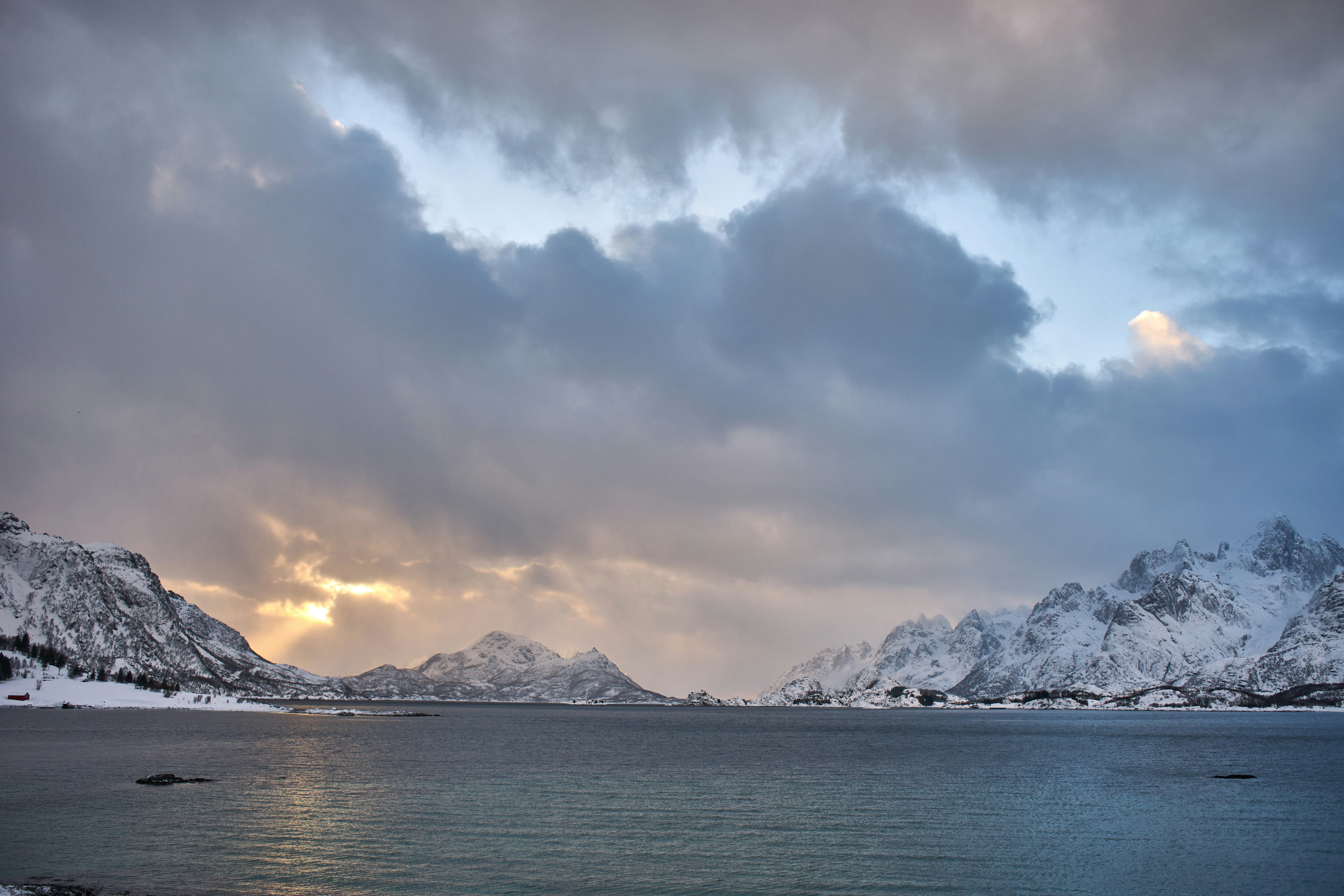 Photo by wolfgang_hasselmann