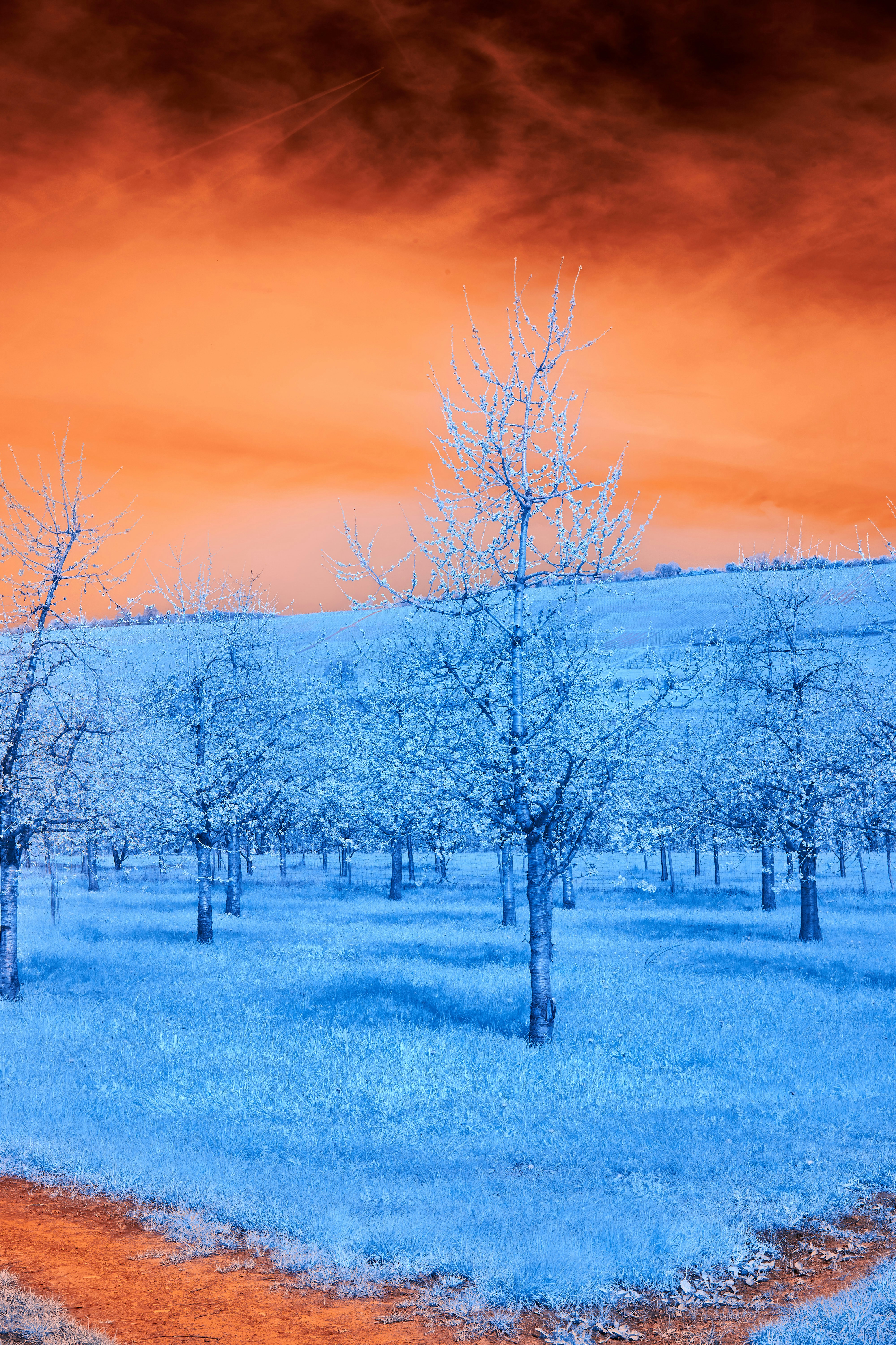 Photo by wolfgang_hasselmann