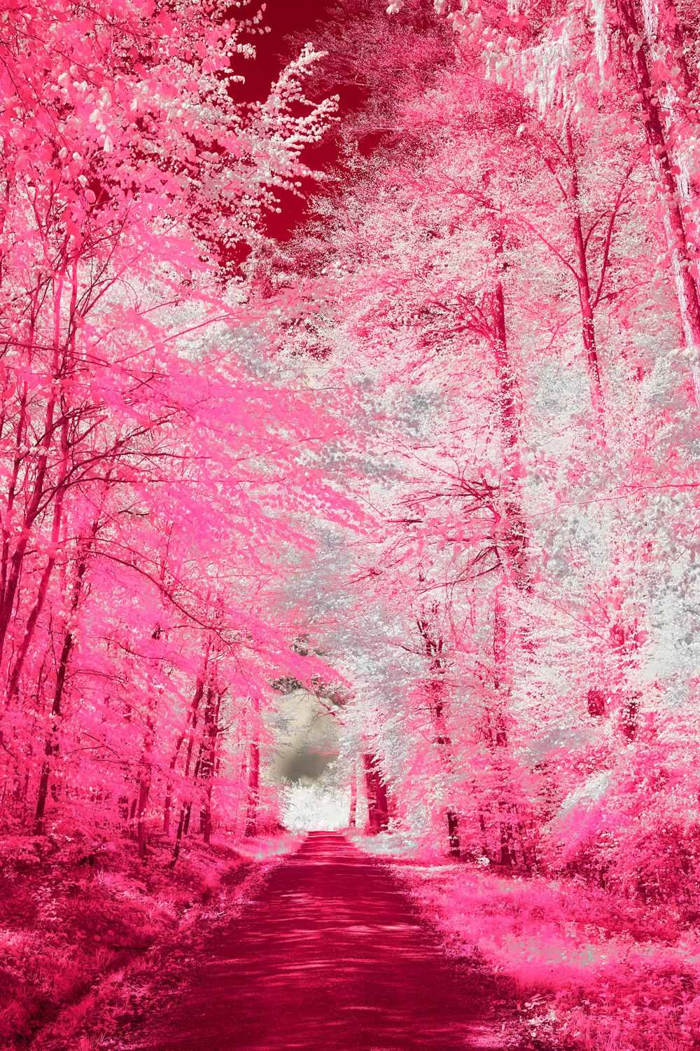 a red and white photo of a road surrounded by trees