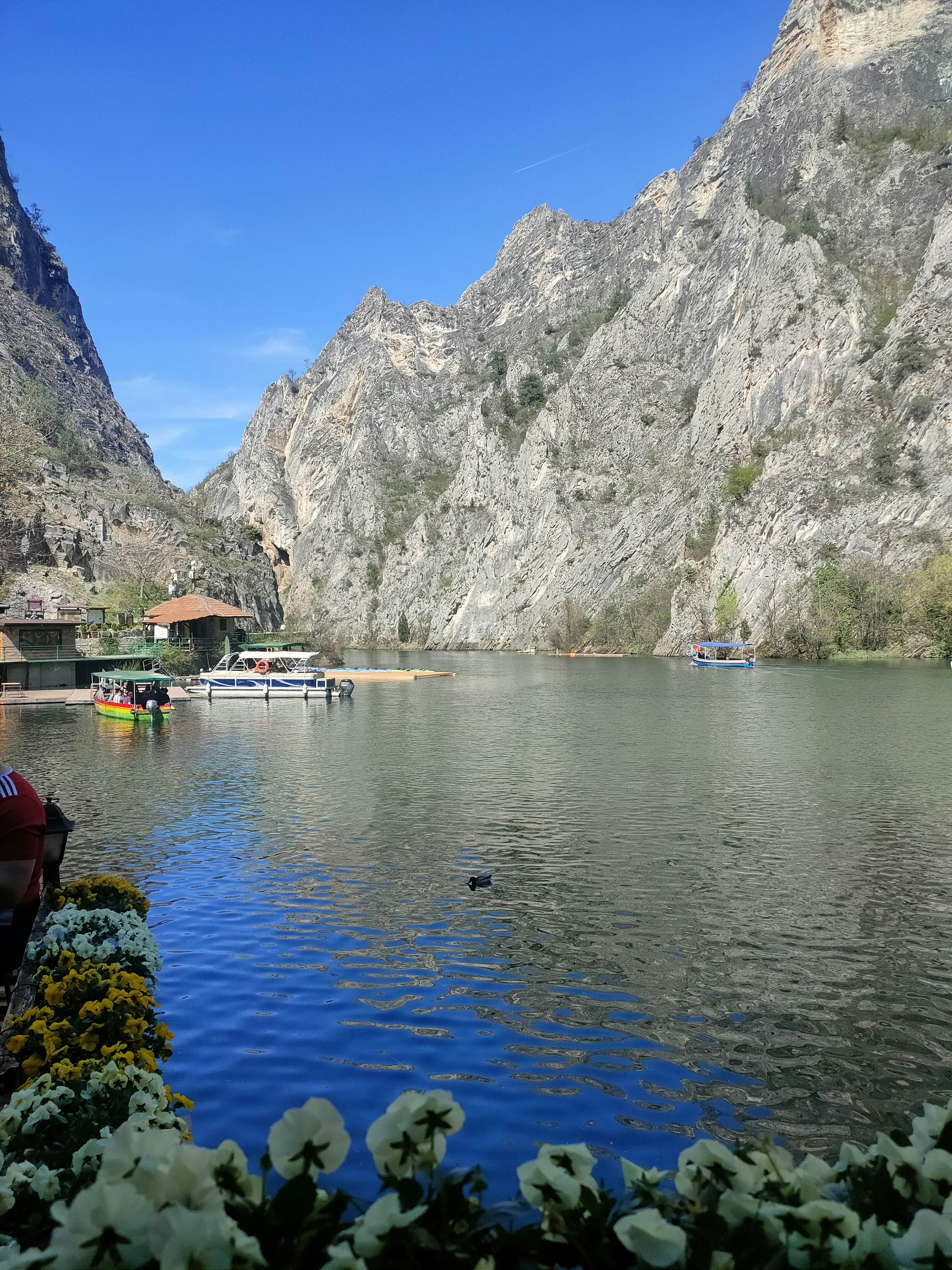 Photo by marjorylucabaxter