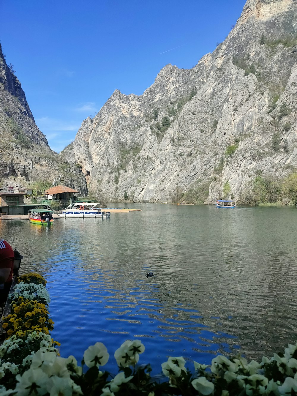 Un cuerpo de agua rodeado de montañas y flores