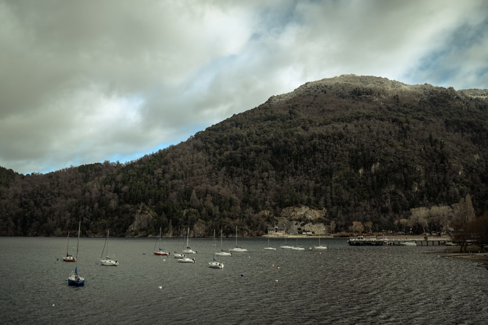 a group of boats floating on top of a lake