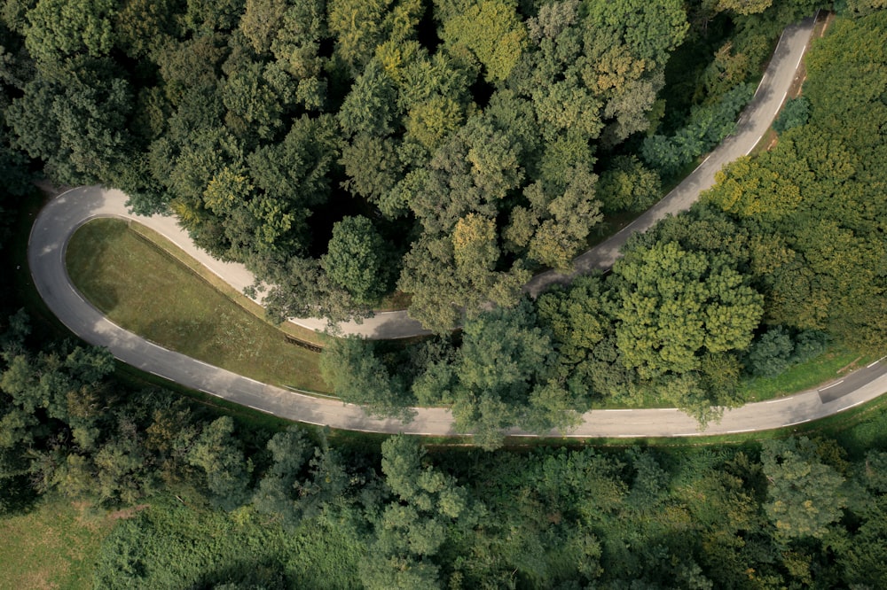 a winding road in the middle of a forest