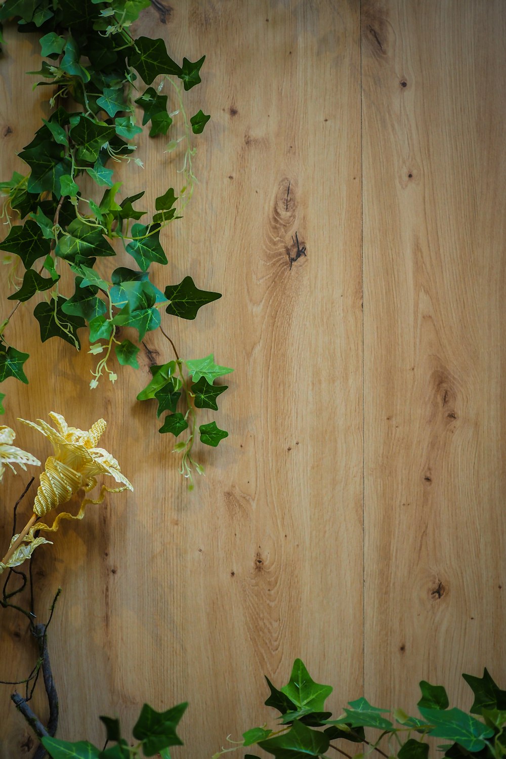 a wooden table topped with green leaves and vines