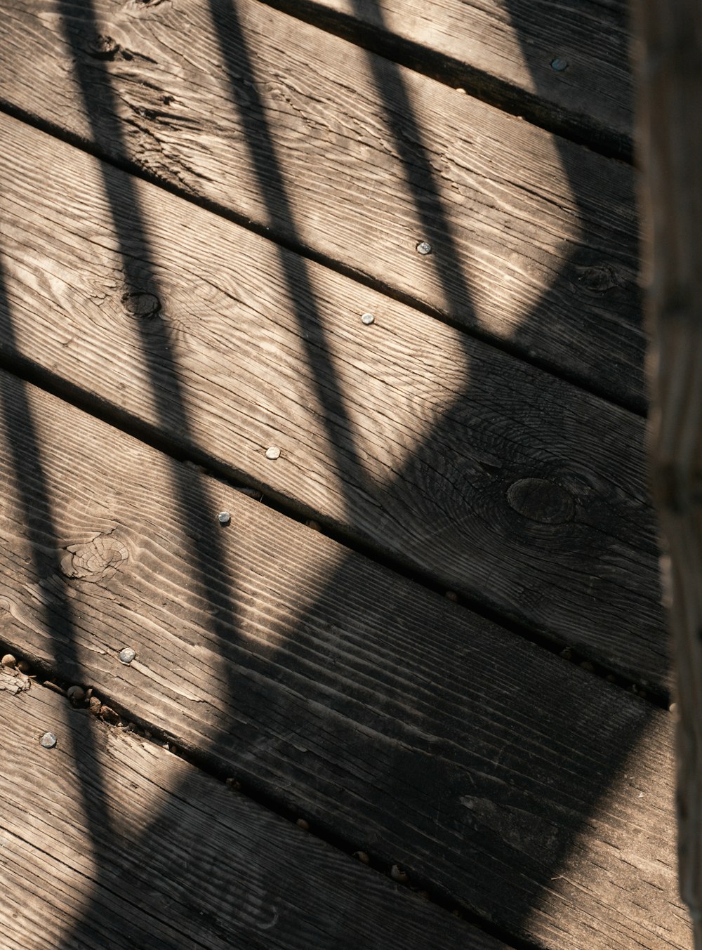 the shadow of a person holding a cell phone