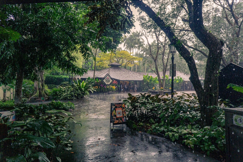 a bench sitting in the middle of a lush green park