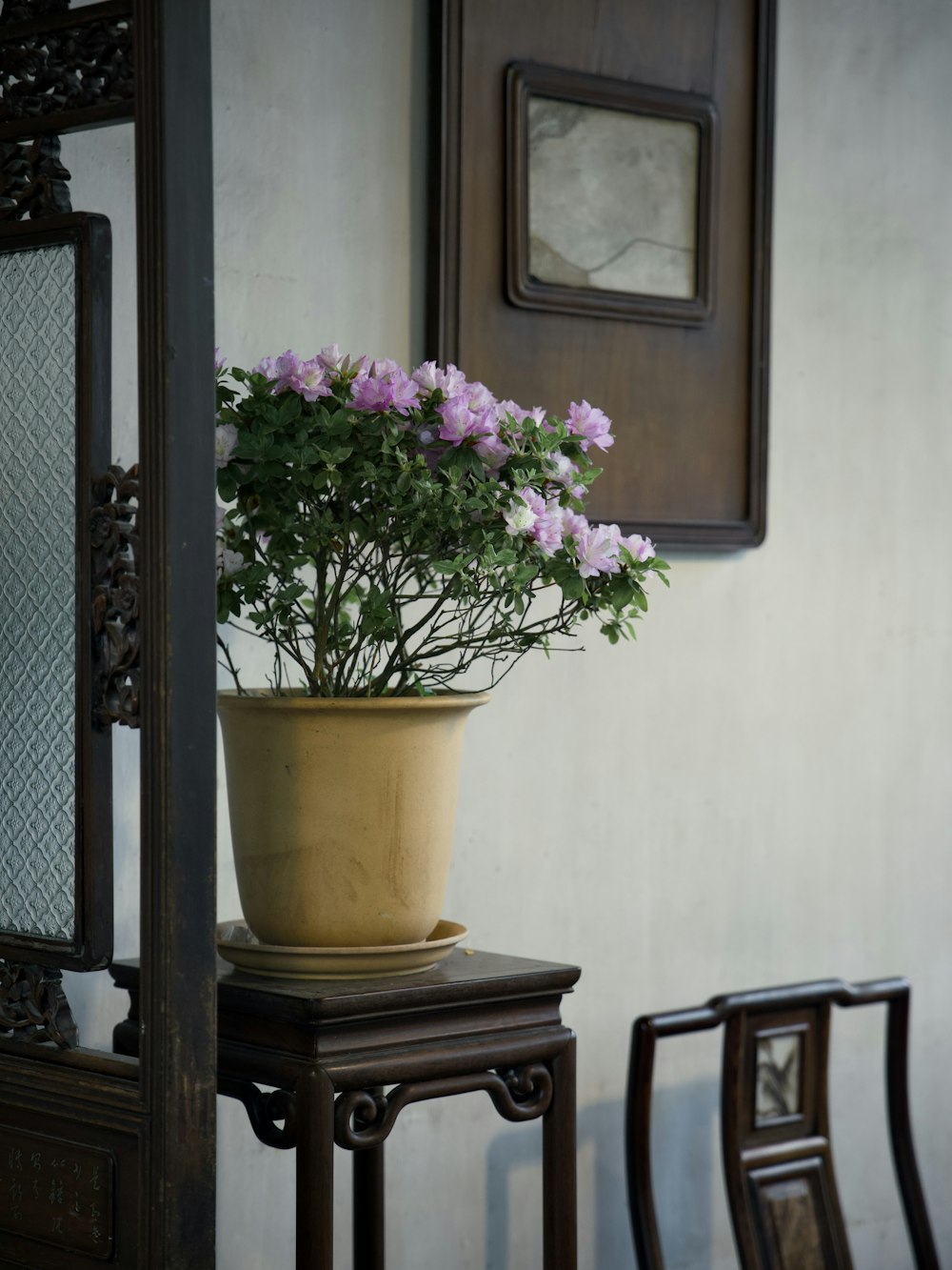 a potted plant sitting on top of a wooden table