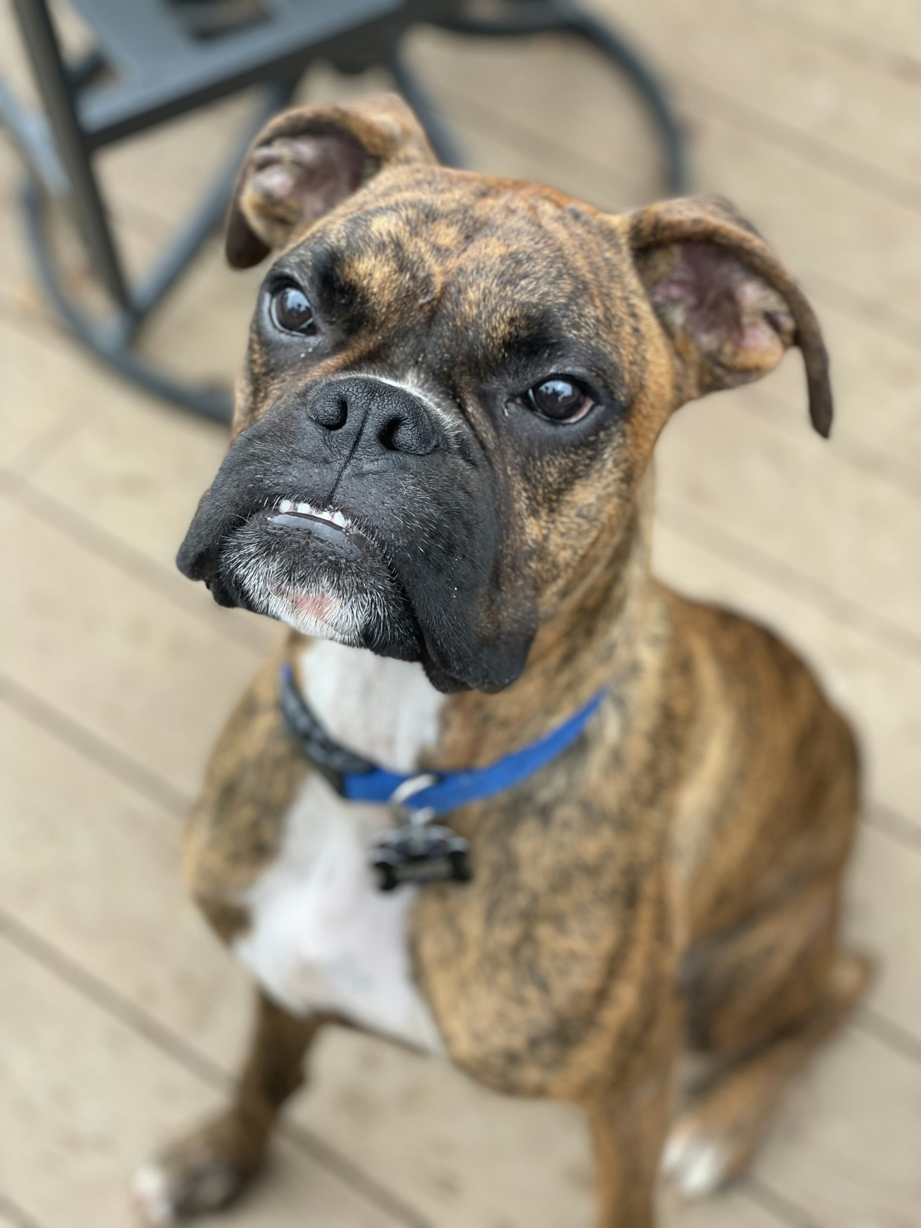 Photo by kcbuckphoto17