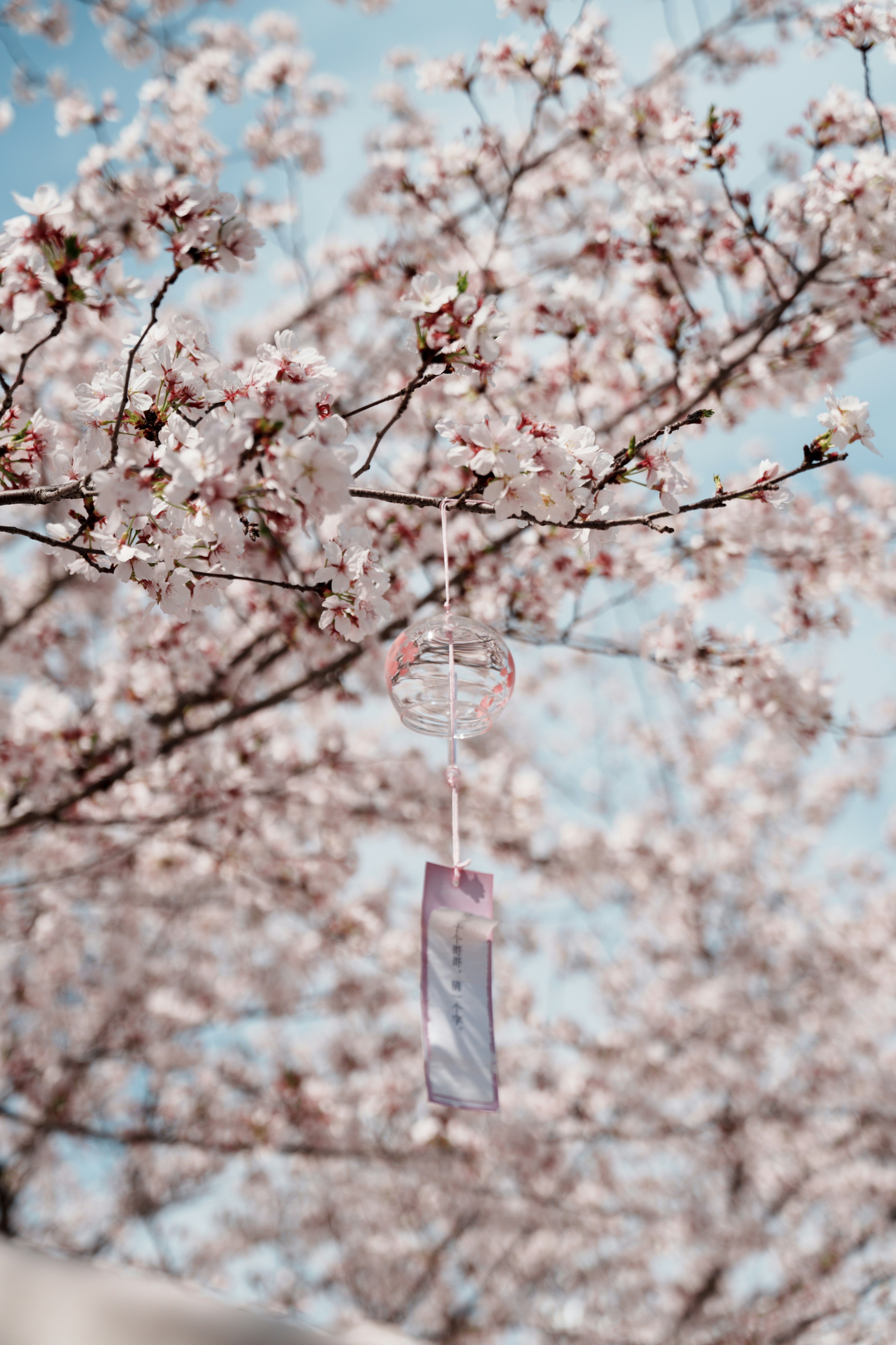 un carillon éolien suspendu à un arbre avec des fleurs roses