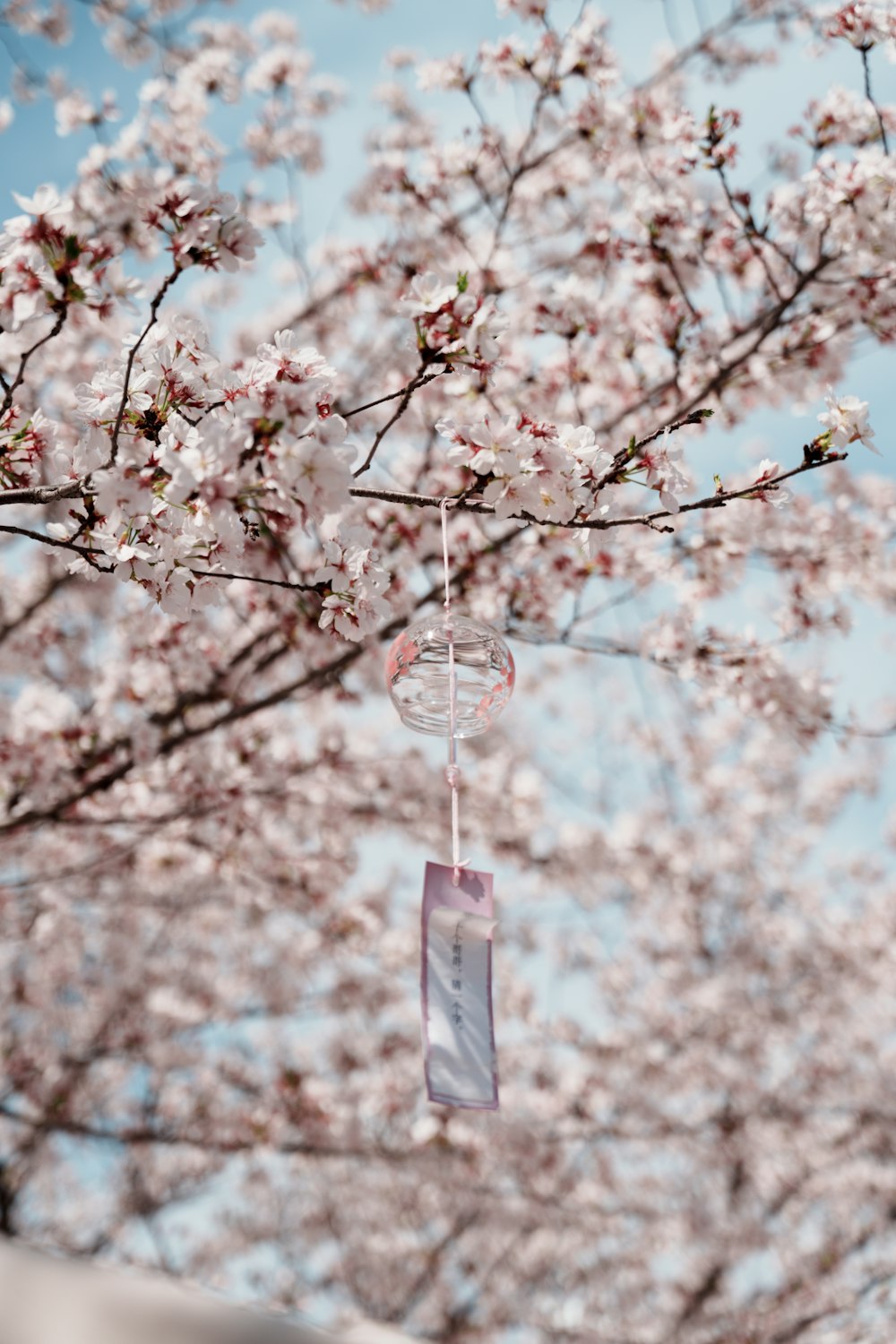 a wind chime hanging from a tree with pink flowers