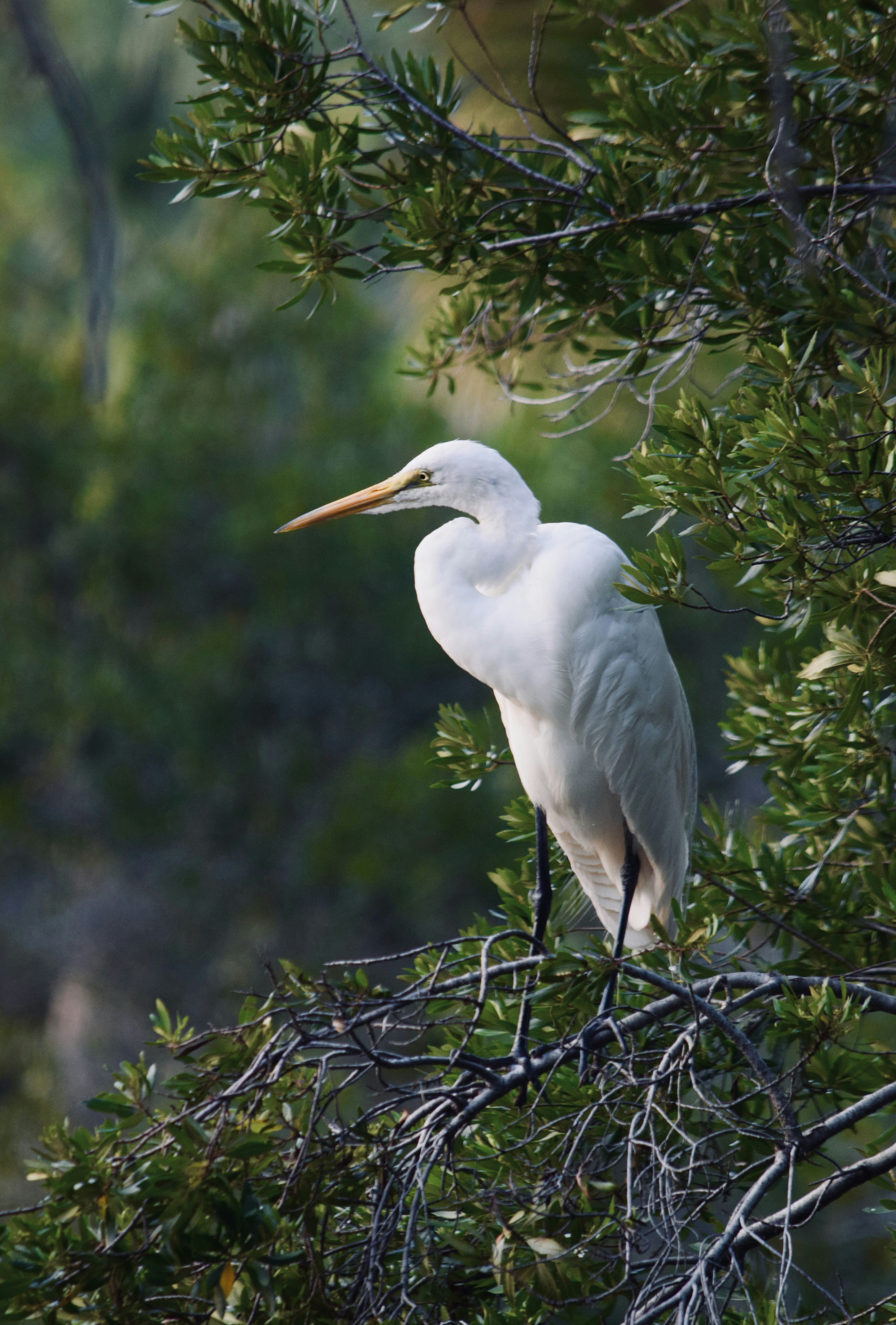 Photo by kcbuckphoto17