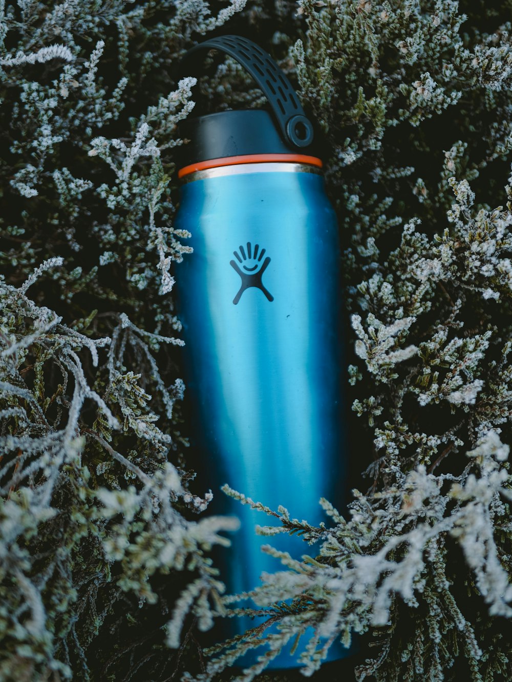 a blue water bottle sitting in the middle of a bush