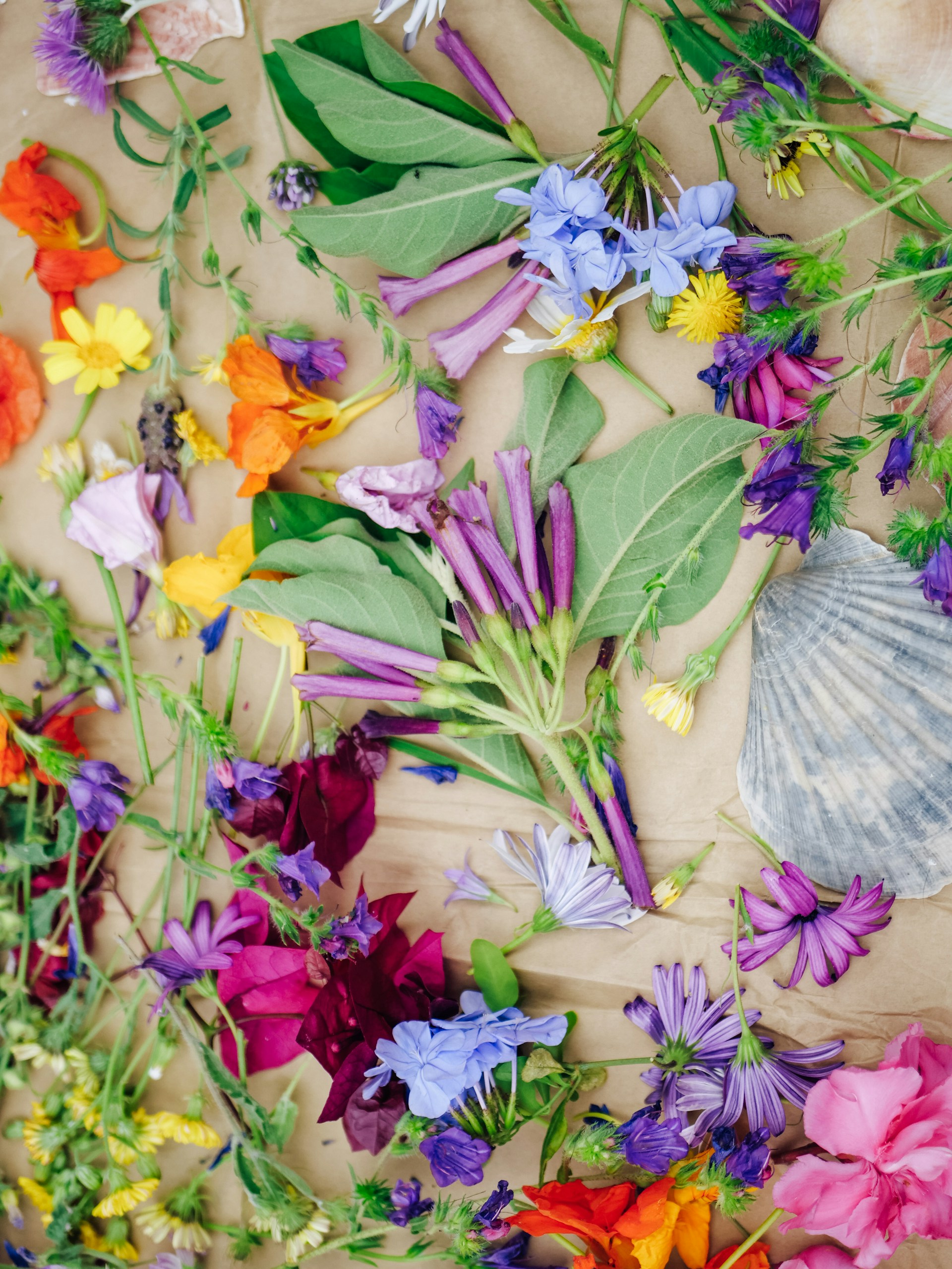 A bunch of flowers that are laying on a table
