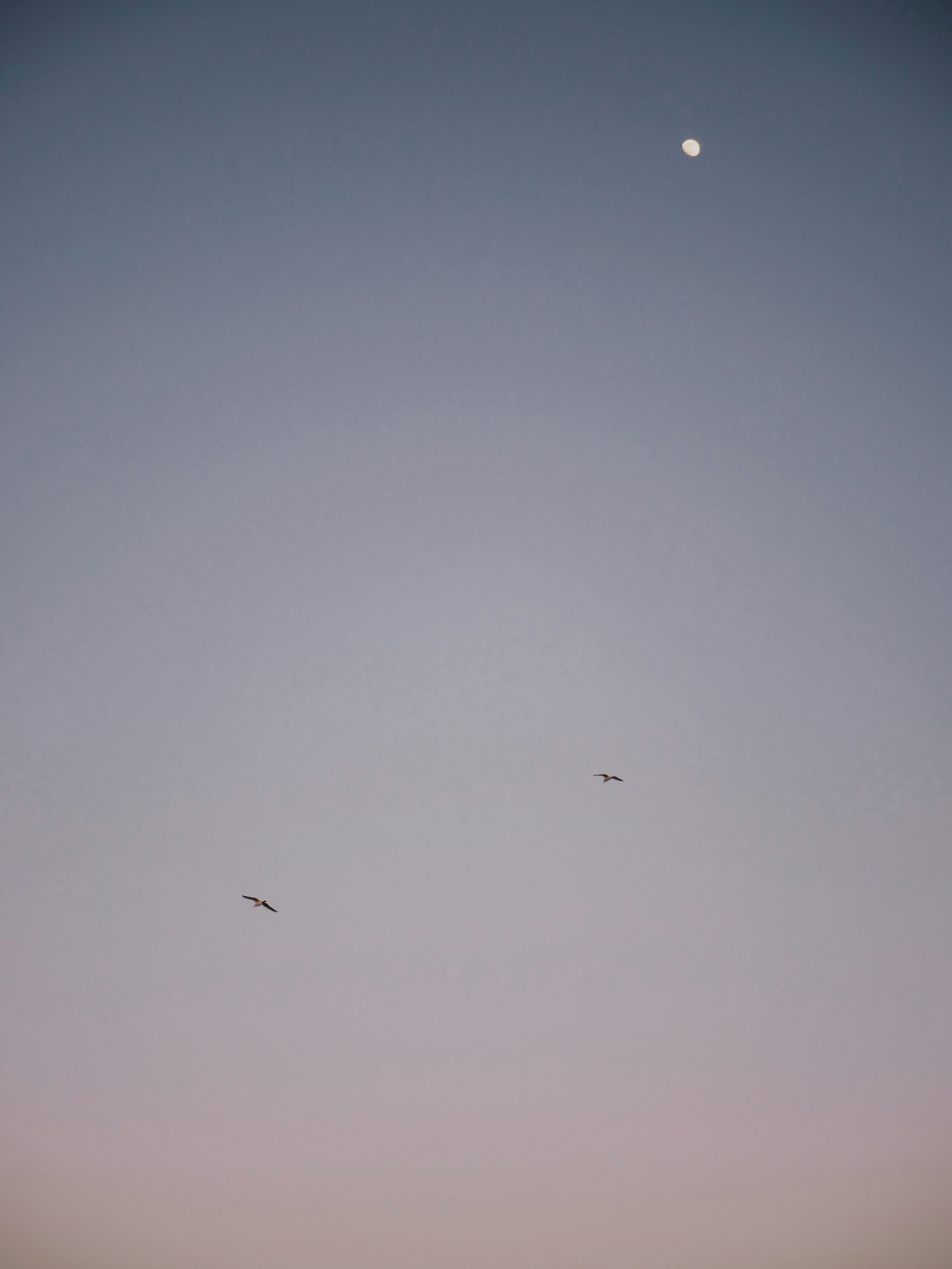 Photo by paulinaherpel