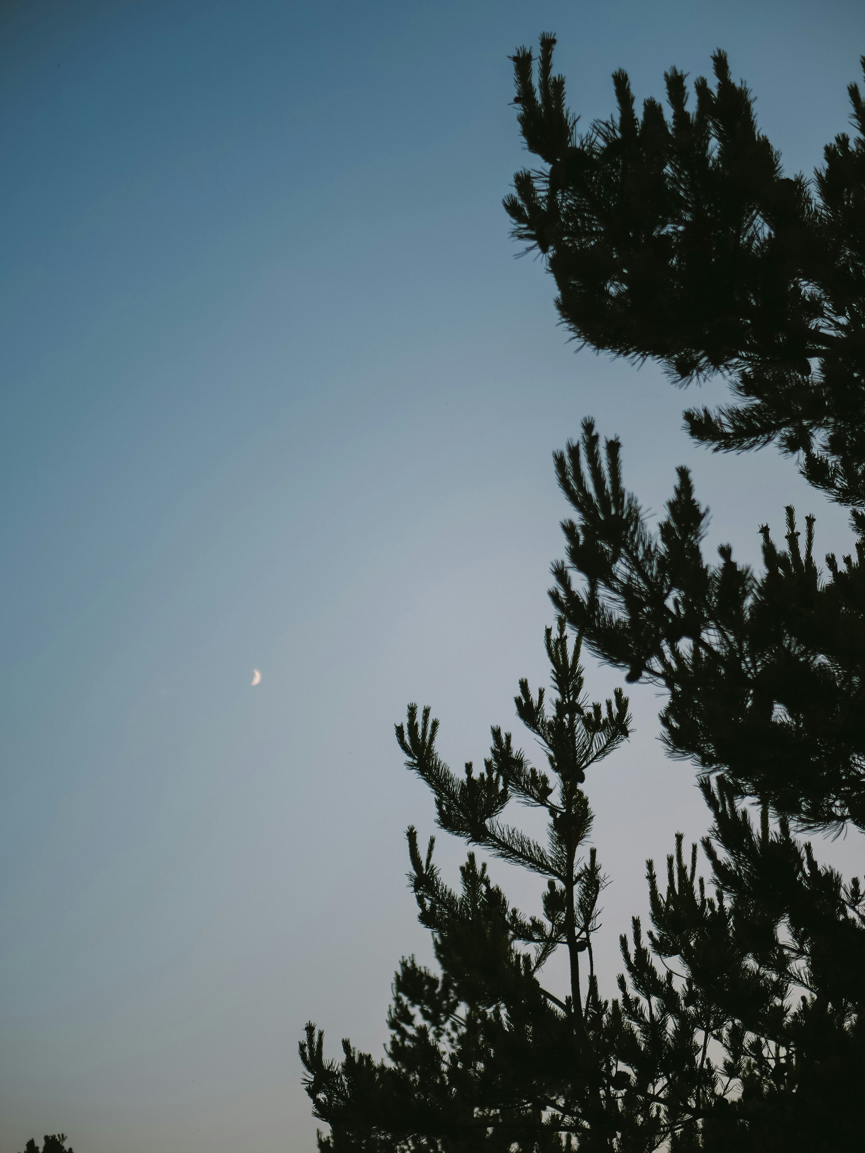 Photo by paulinaherpel