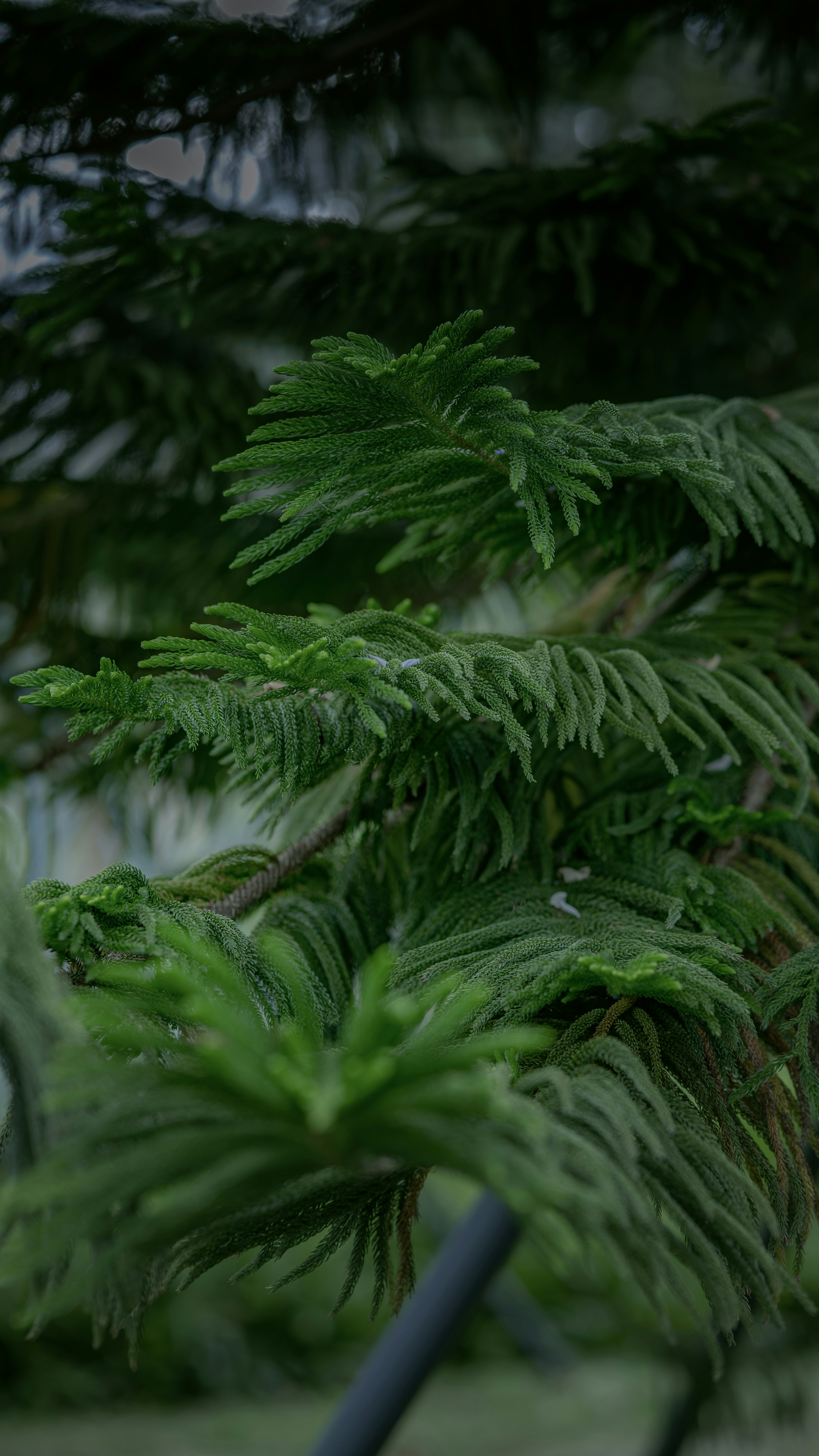 Photo by wangbinghua