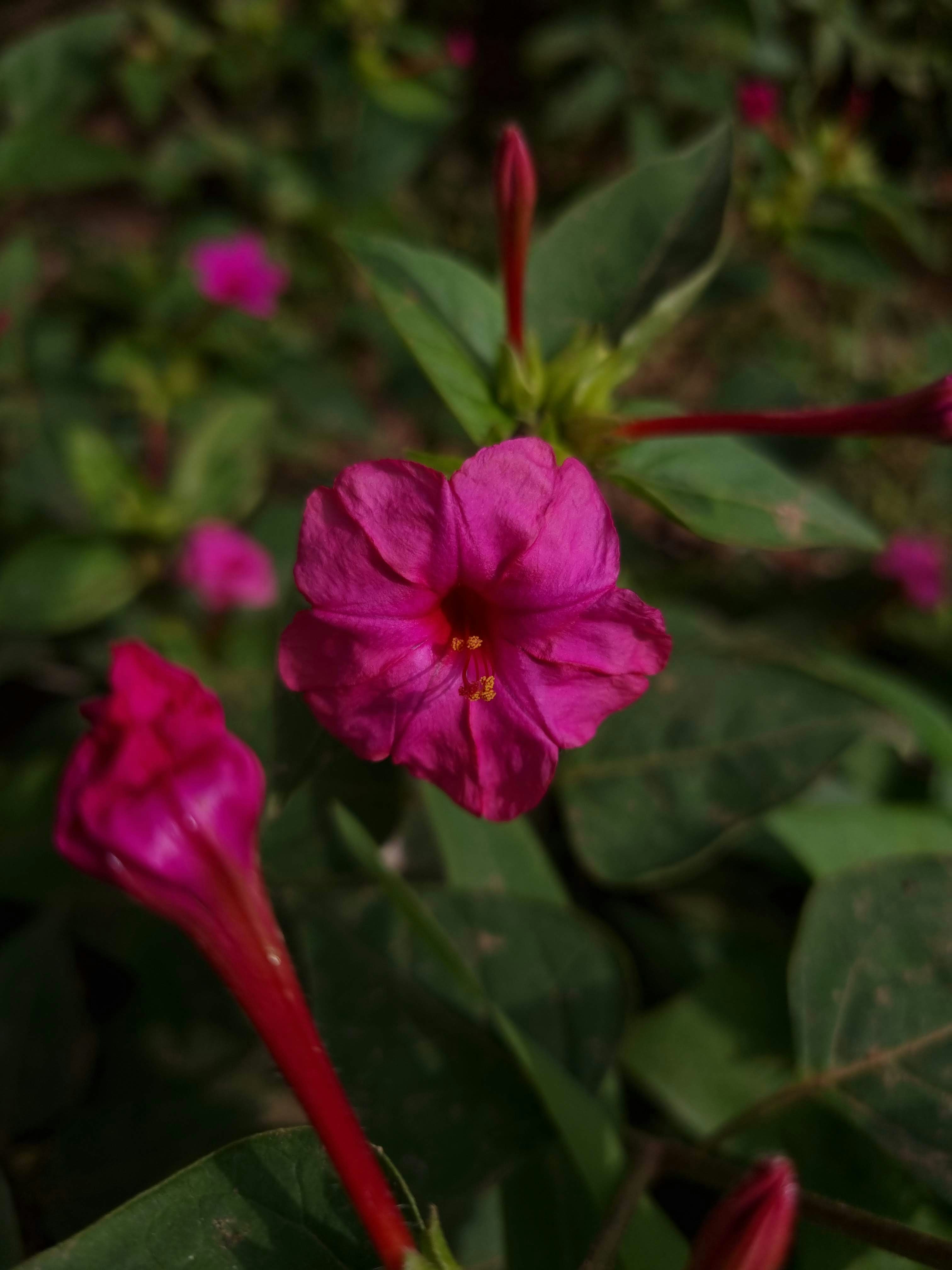 Photo by riya_parker