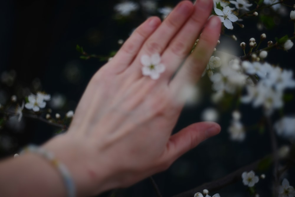 a person's hand reaching for a flower