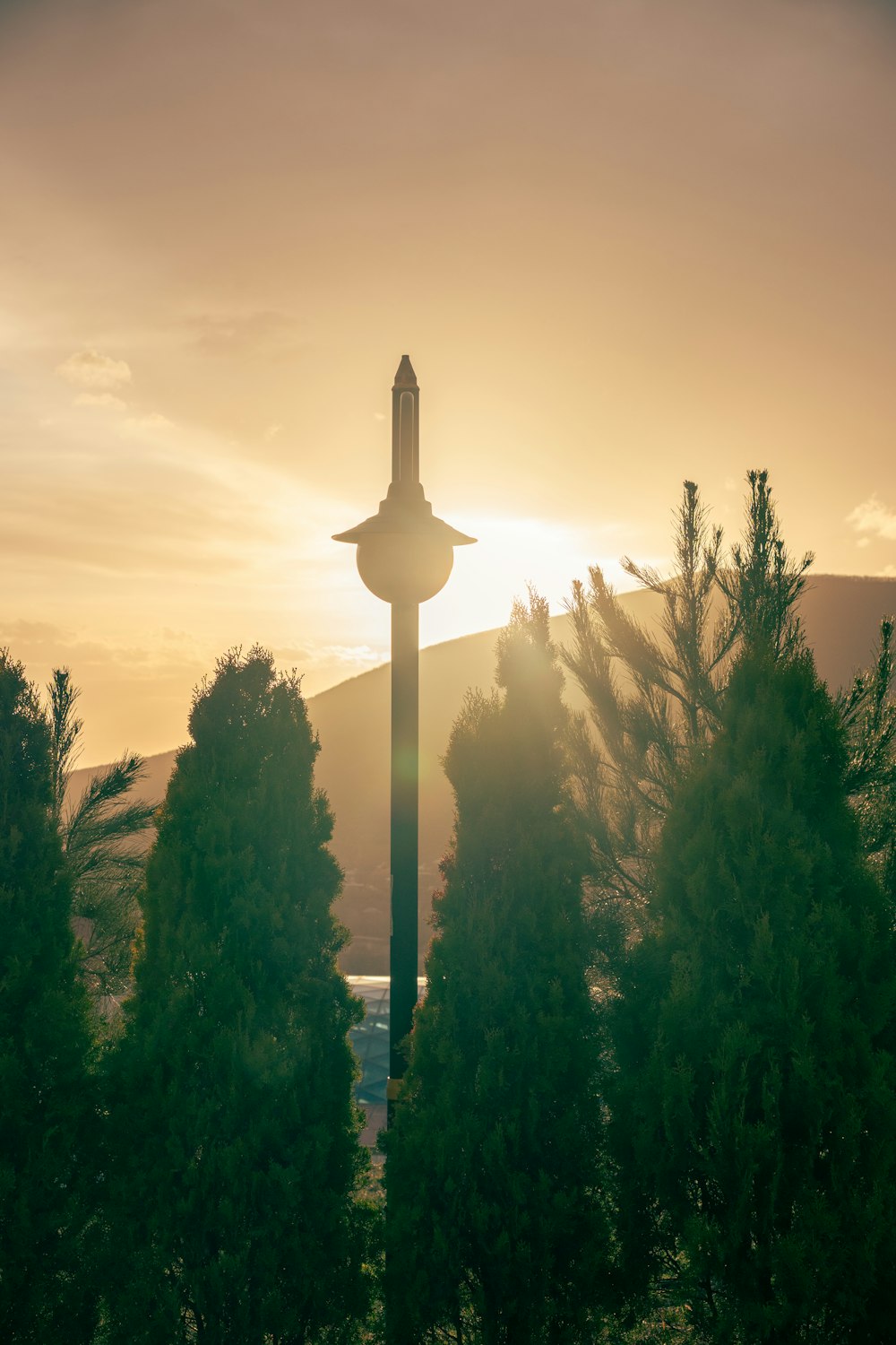 a tall clock tower towering over a forest of trees