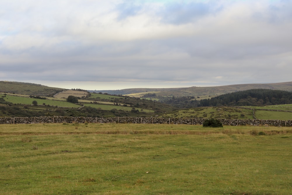 a grassy field with a stone wall in the distance