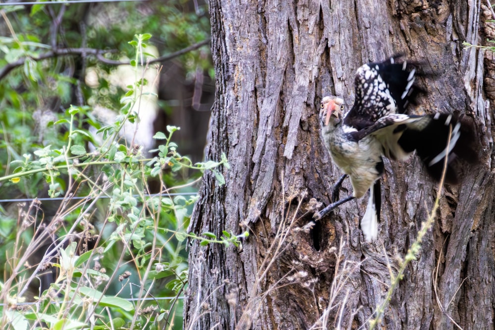 a bird that is sitting on a tree