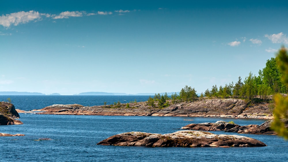 a large body of water surrounded by trees