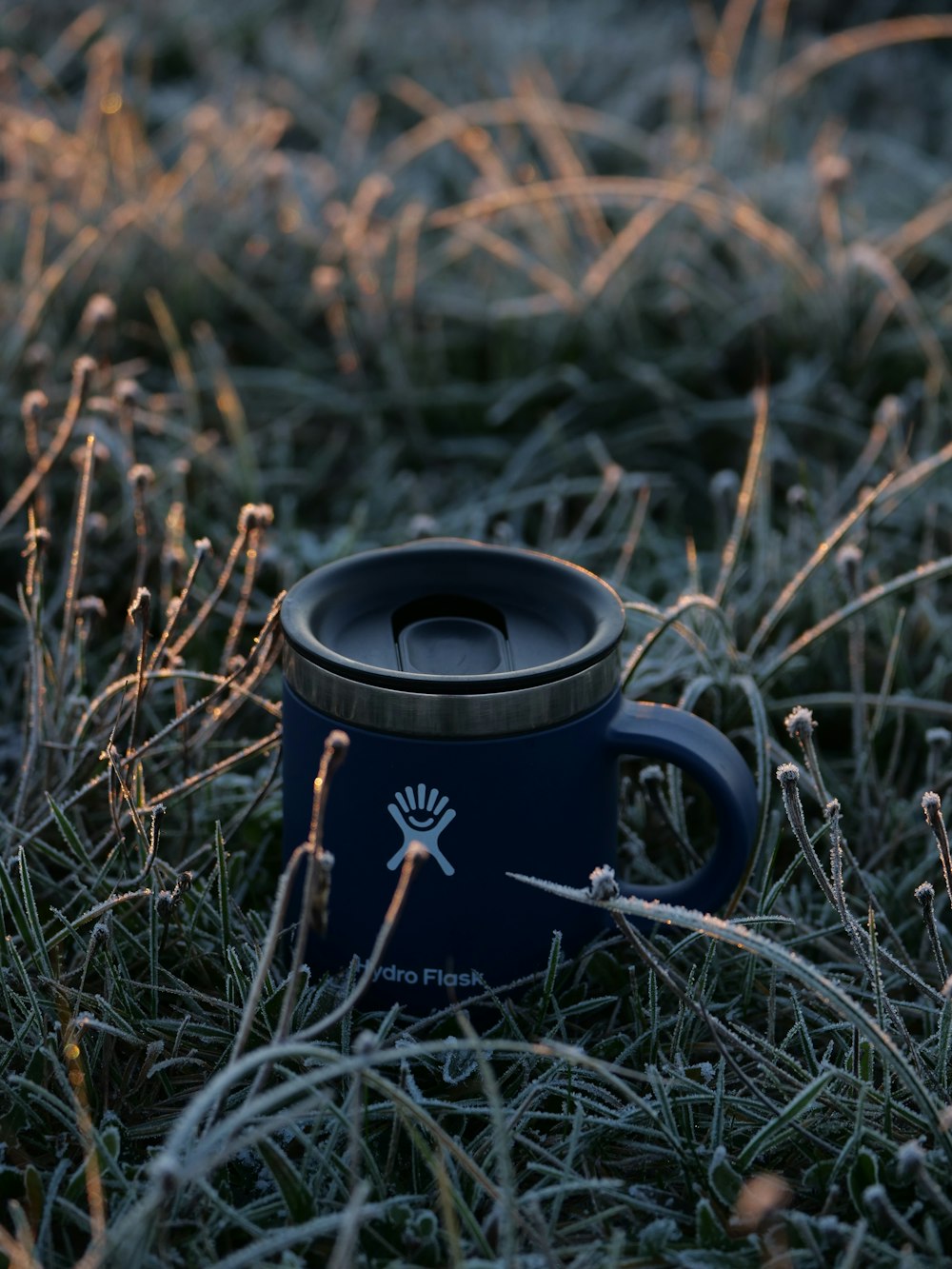 a coffee cup sitting on top of a grass covered field
