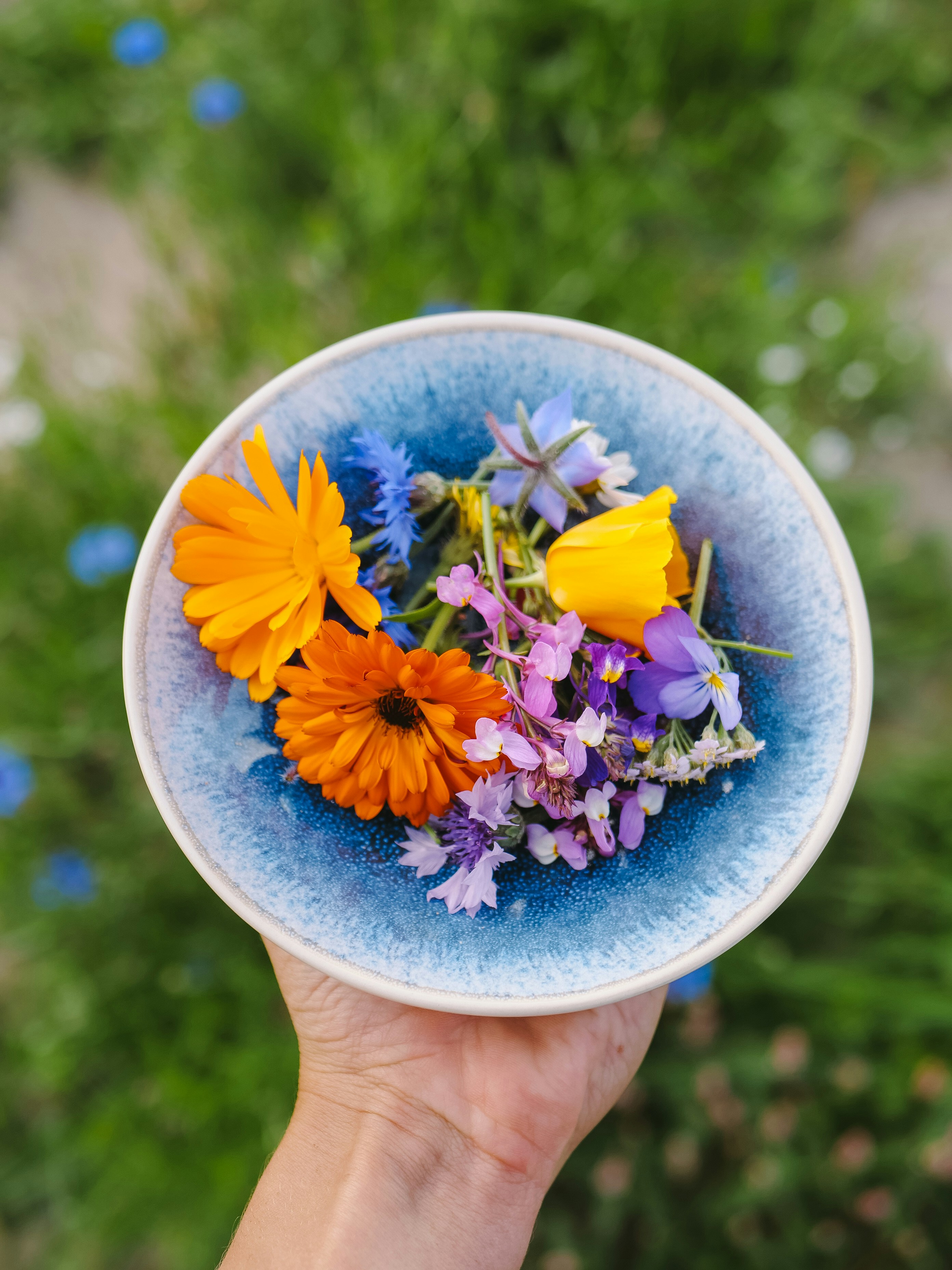 a person holding a bowl of flowers in their hand