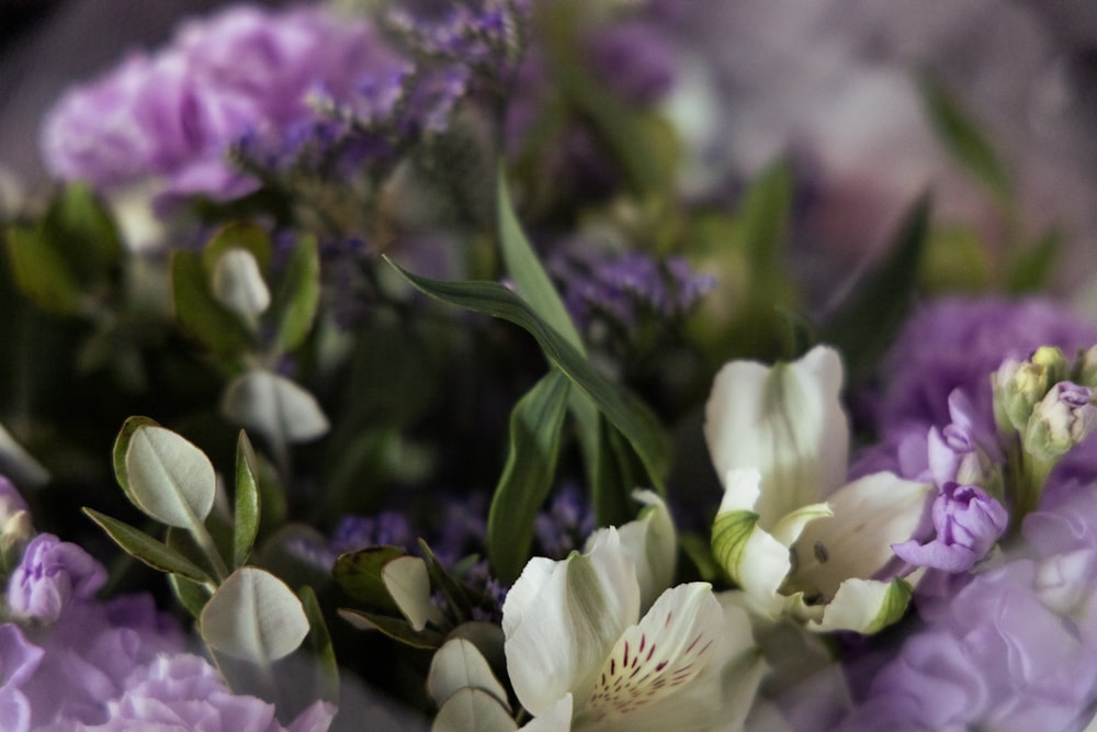 a close up of a bouquet of flowers
